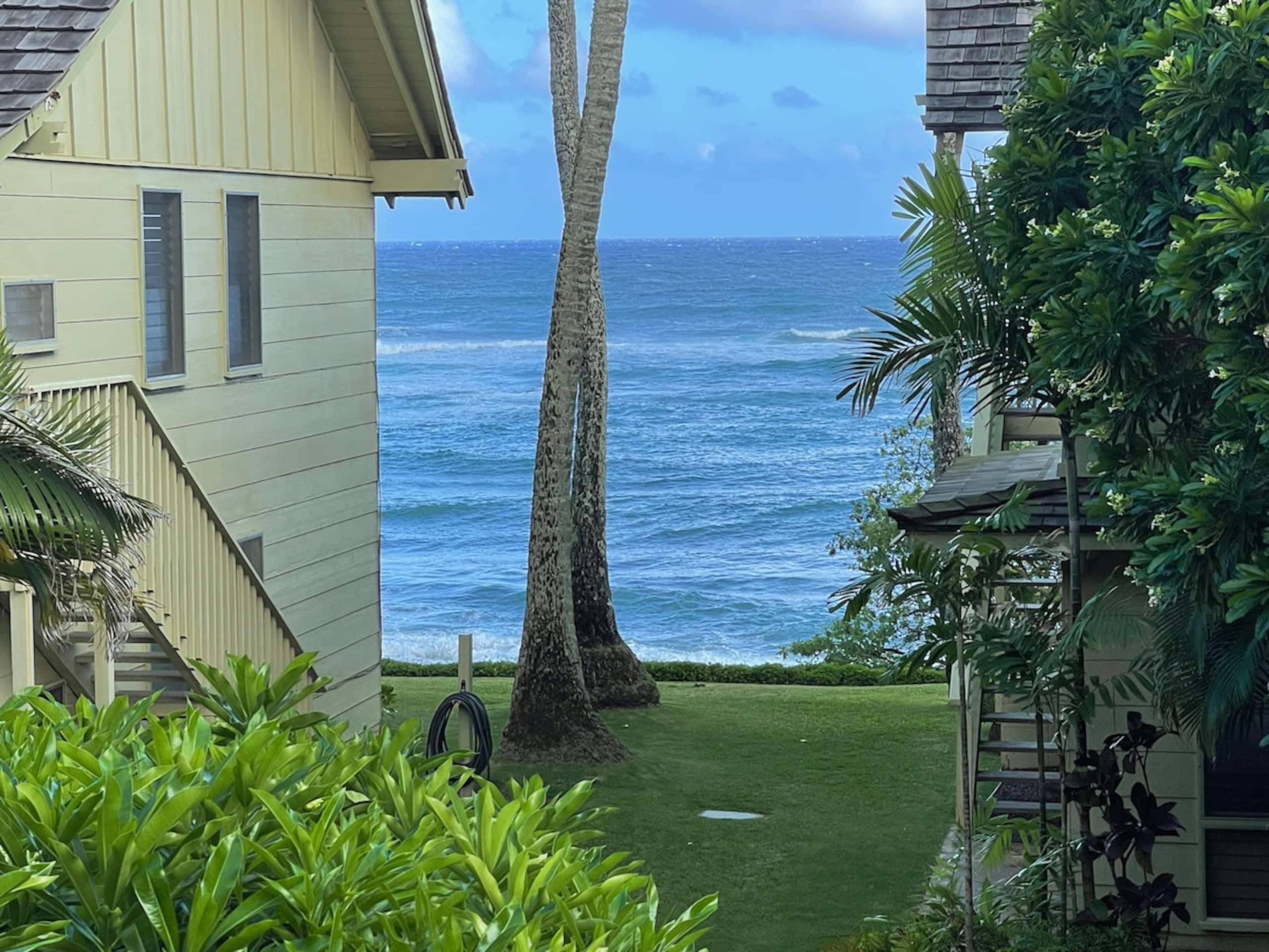 Kapaa Sands Ocean view paradise - Photo 29