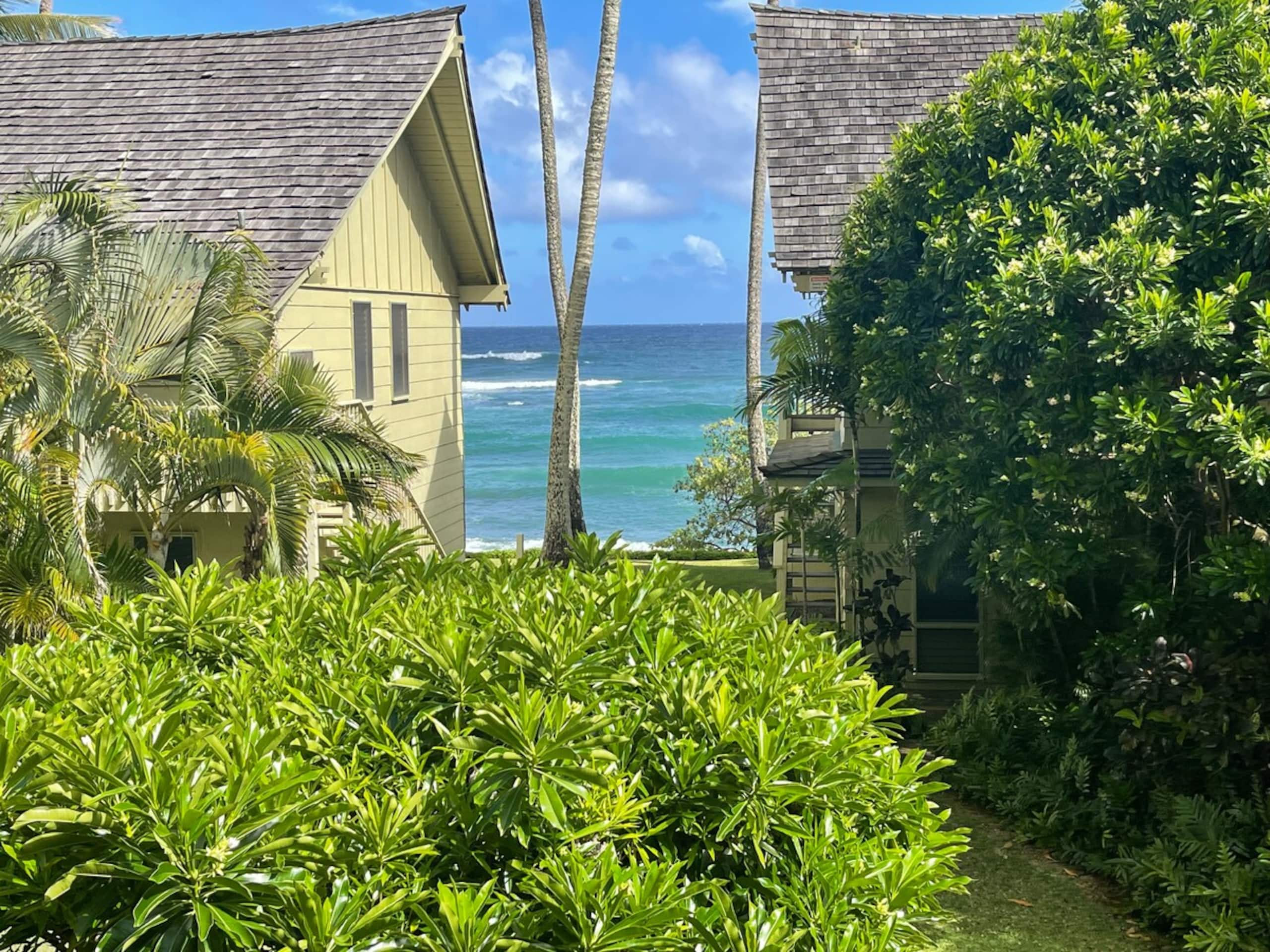 Kapaa Sands Ocean view paradise - Photo 28
