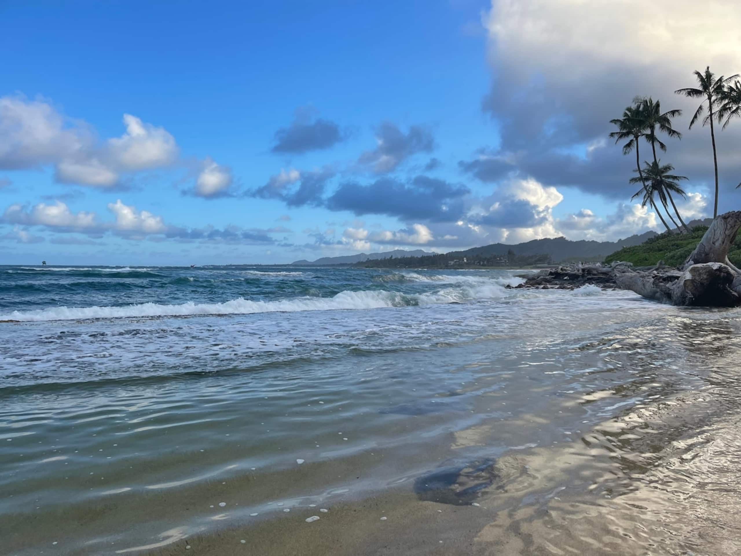 Kapaa Sands Ocean view paradise - Photo 1