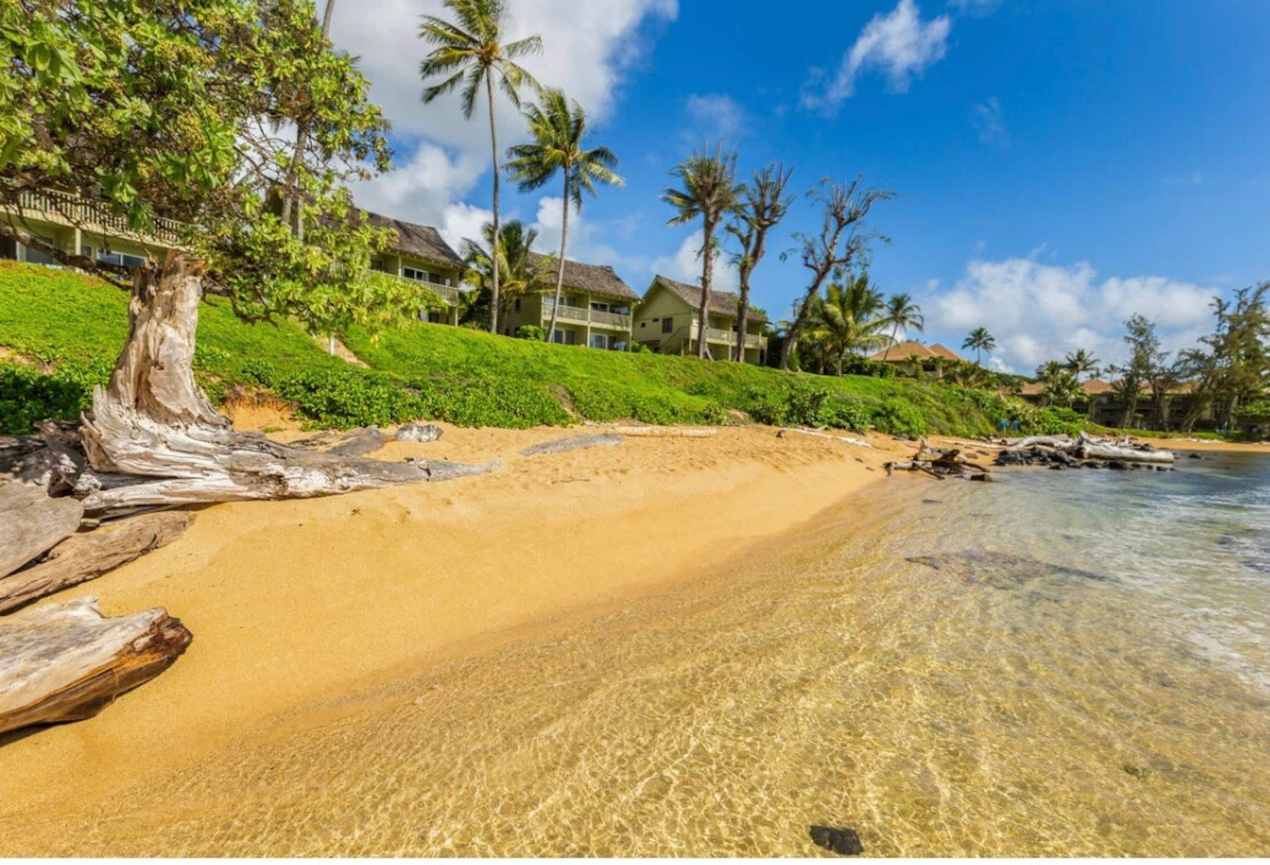 Kapaa Sands Ocean view paradise - Photo 25