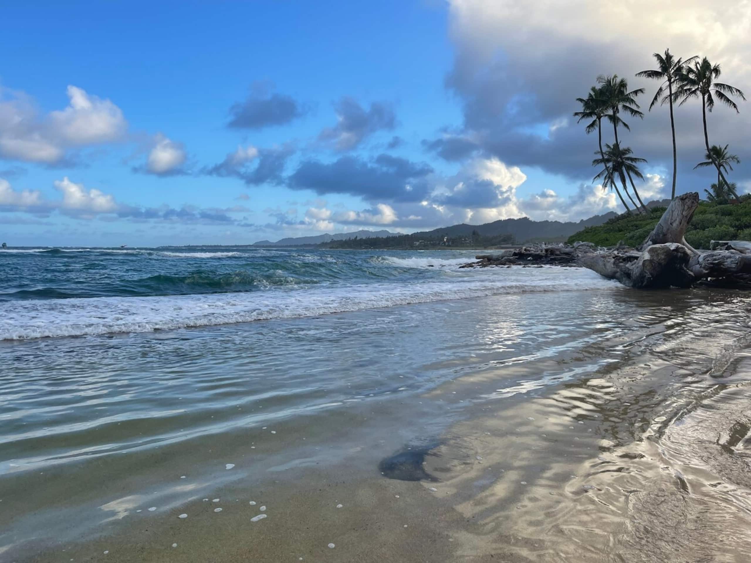 Kapaa Sands Ocean view paradise - Photo 34