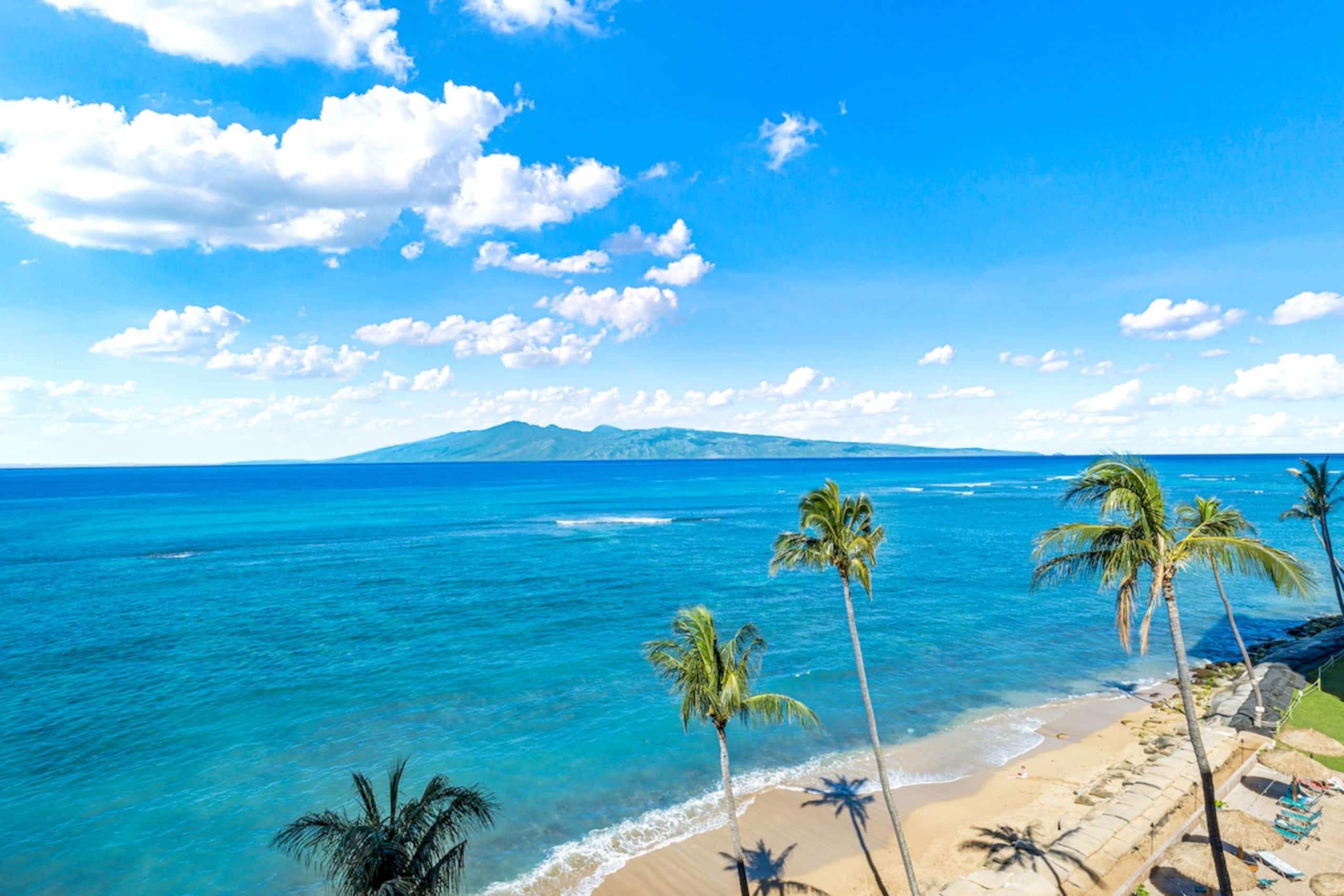 Stunning Oceanfront, Sunset and Marine Life Views - Photo 13