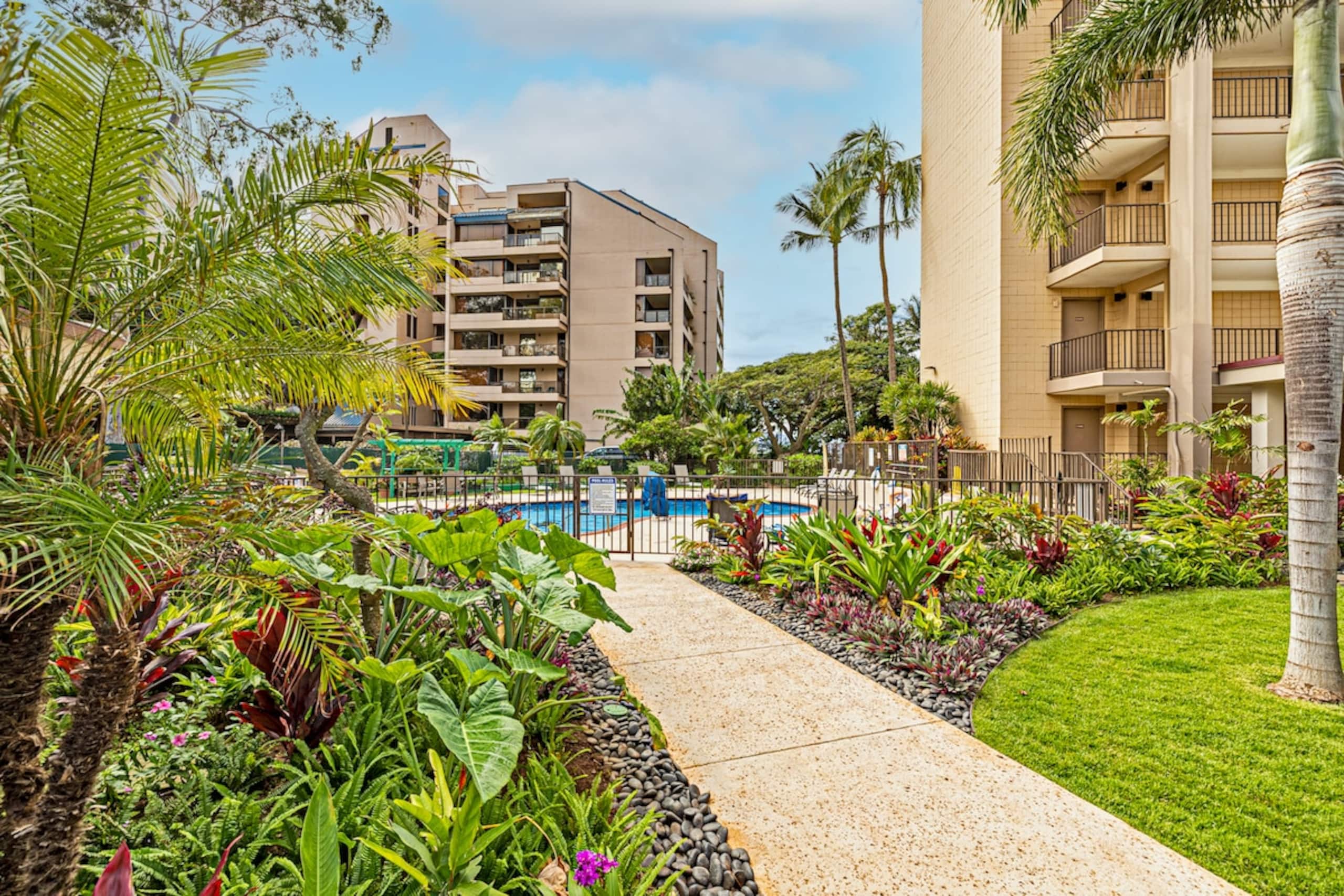Stunning Oceanfront, Sunset and Marine Life Views - Photo 12