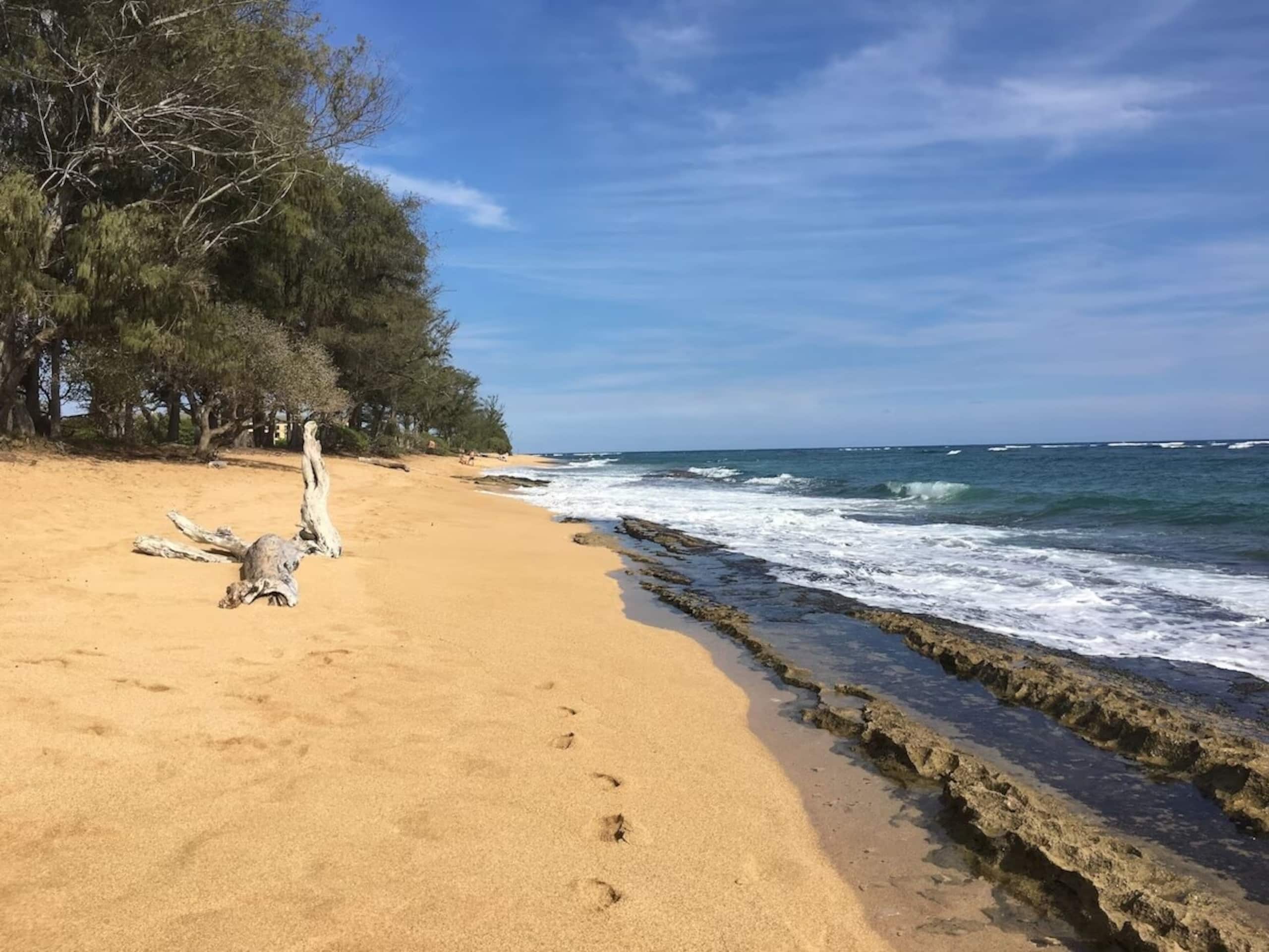 New Remodeled Kuaui Escape! 1/1  with WiFi, AC - Photo 39