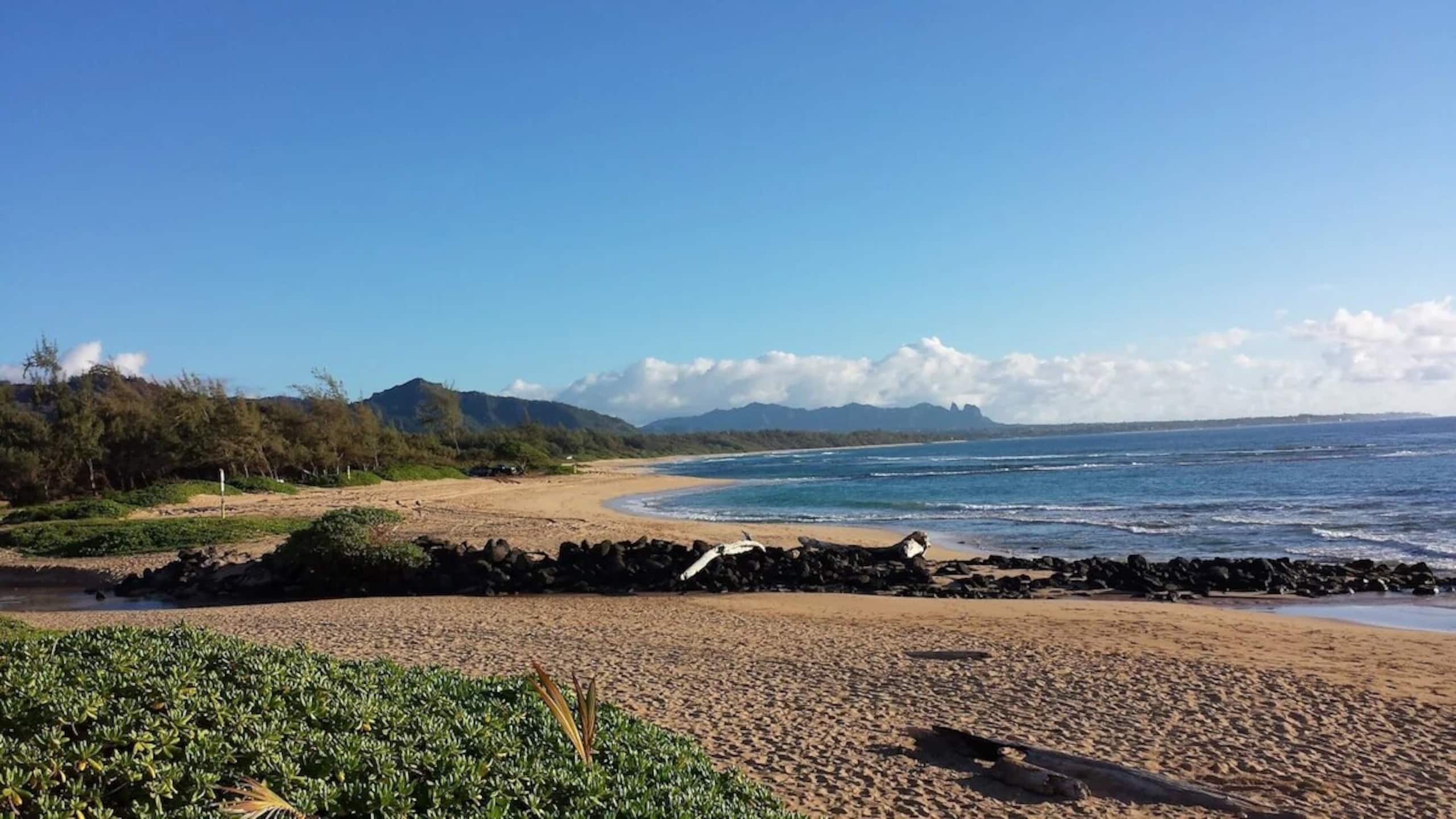 New Remodeled Kuaui Escape! 1/1  with WiFi, AC - Photo 30