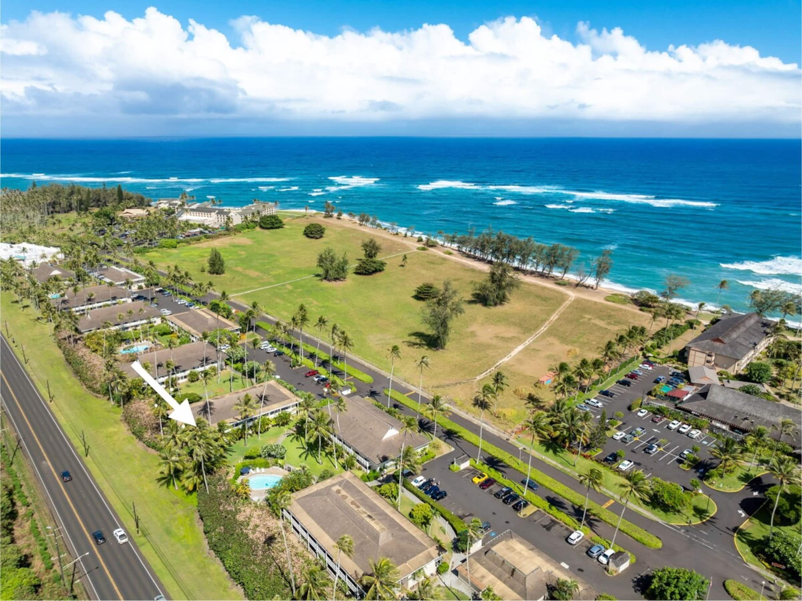 New Remodeled Kuaui Escape! 1/1  with WiFi, AC - Photo 28