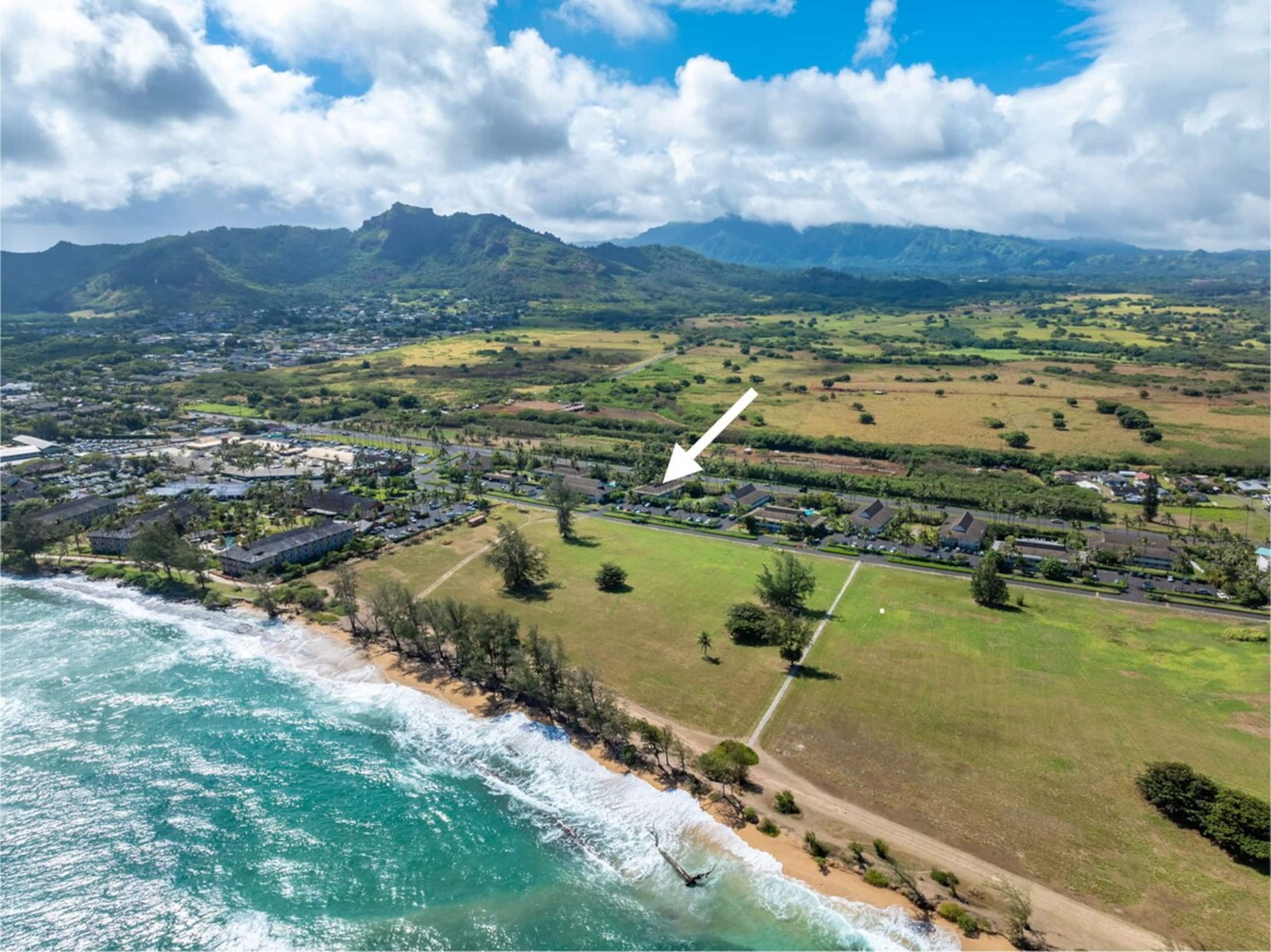 New Remodeled Kuaui Escape! 1/1  with WiFi, AC - Photo 29