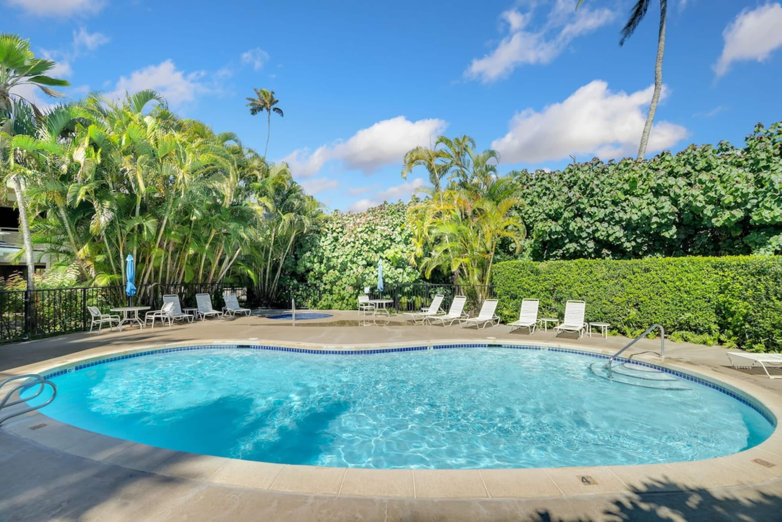 New Remodeled Kuaui Escape! 1/1  with WiFi, AC - Photo 32