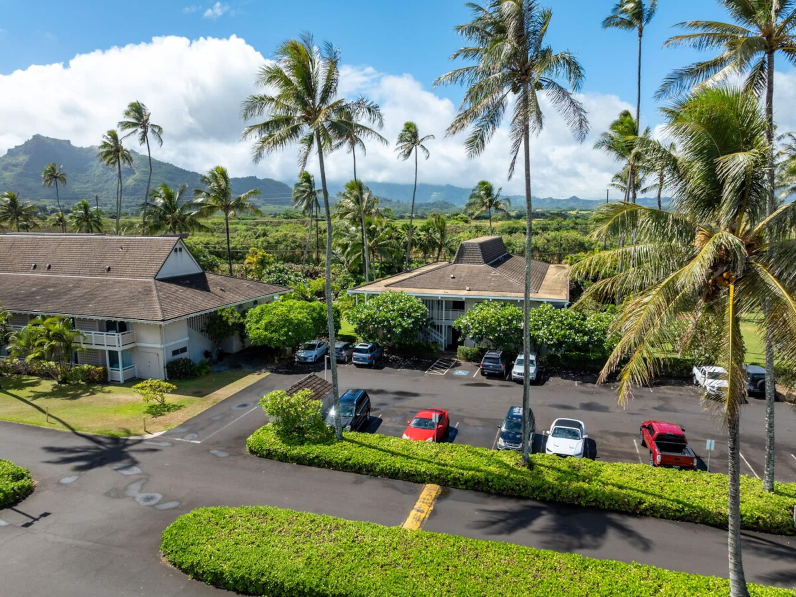 New Remodeled Kuaui Escape! 1/1  with WiFi, AC - Photo 41