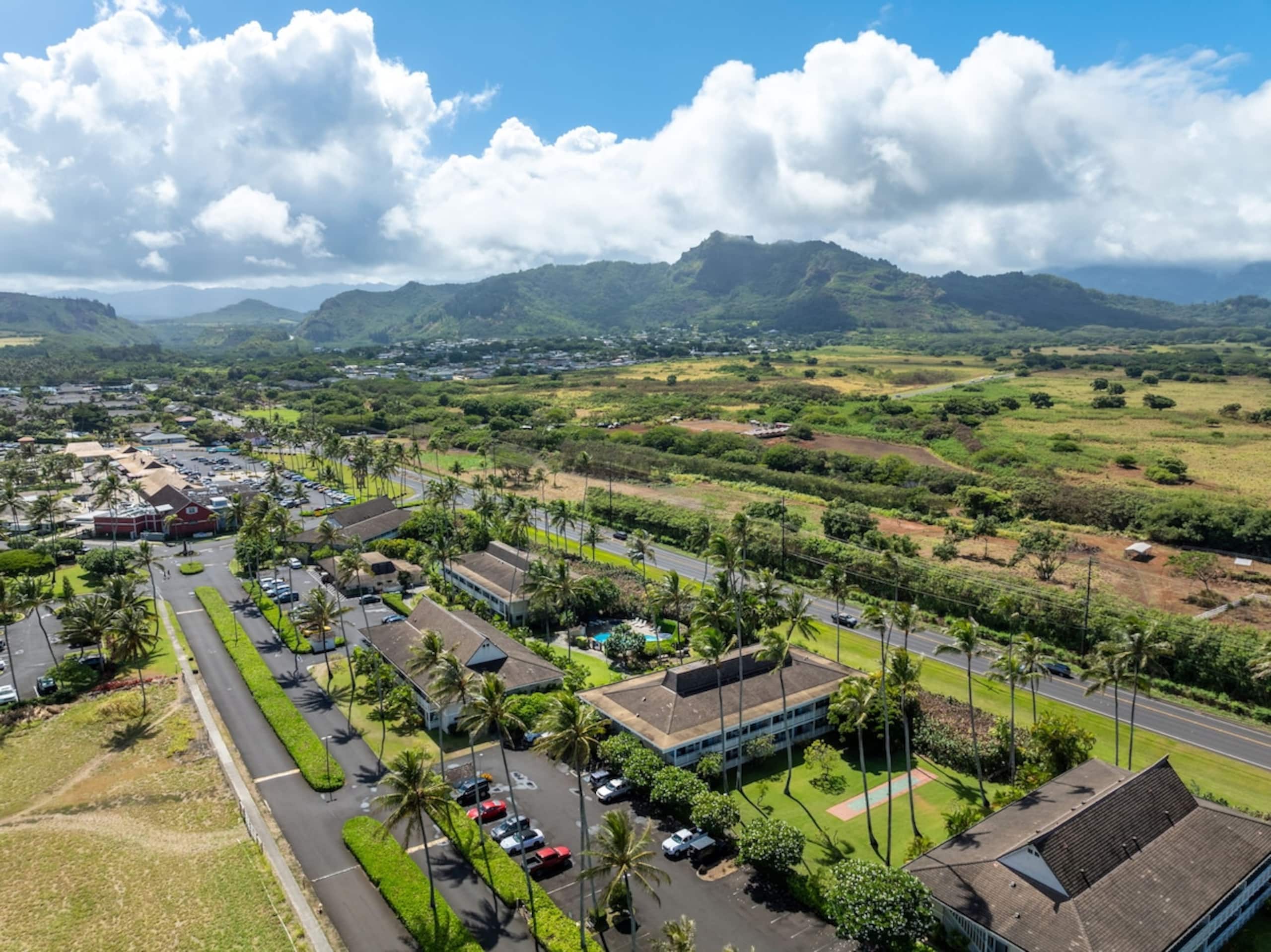 New Remodeled Kuaui Escape! 1/1  with WiFi, AC - Photo 34