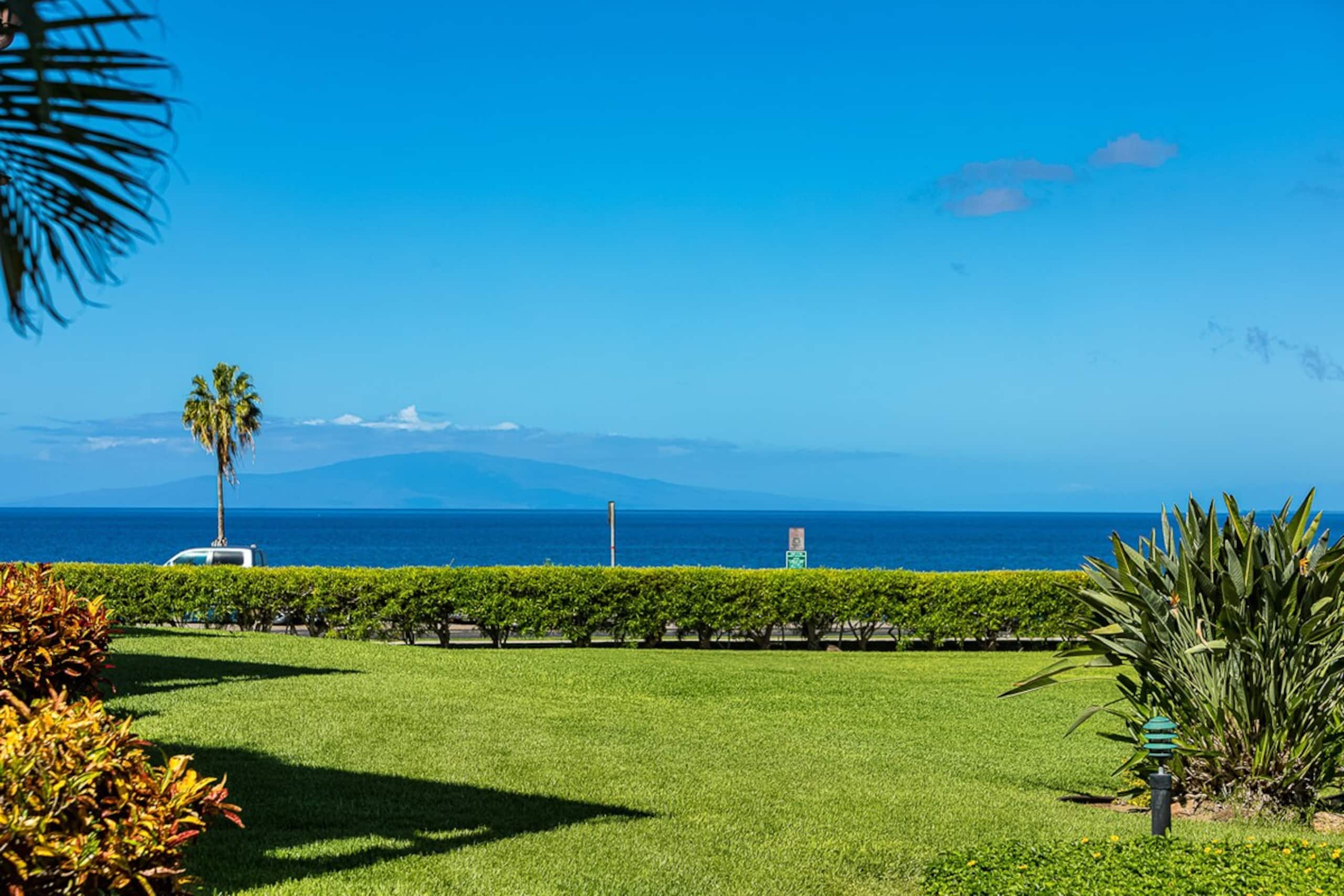 Ocean views and sunset lanai, steps to beach - Photo 63