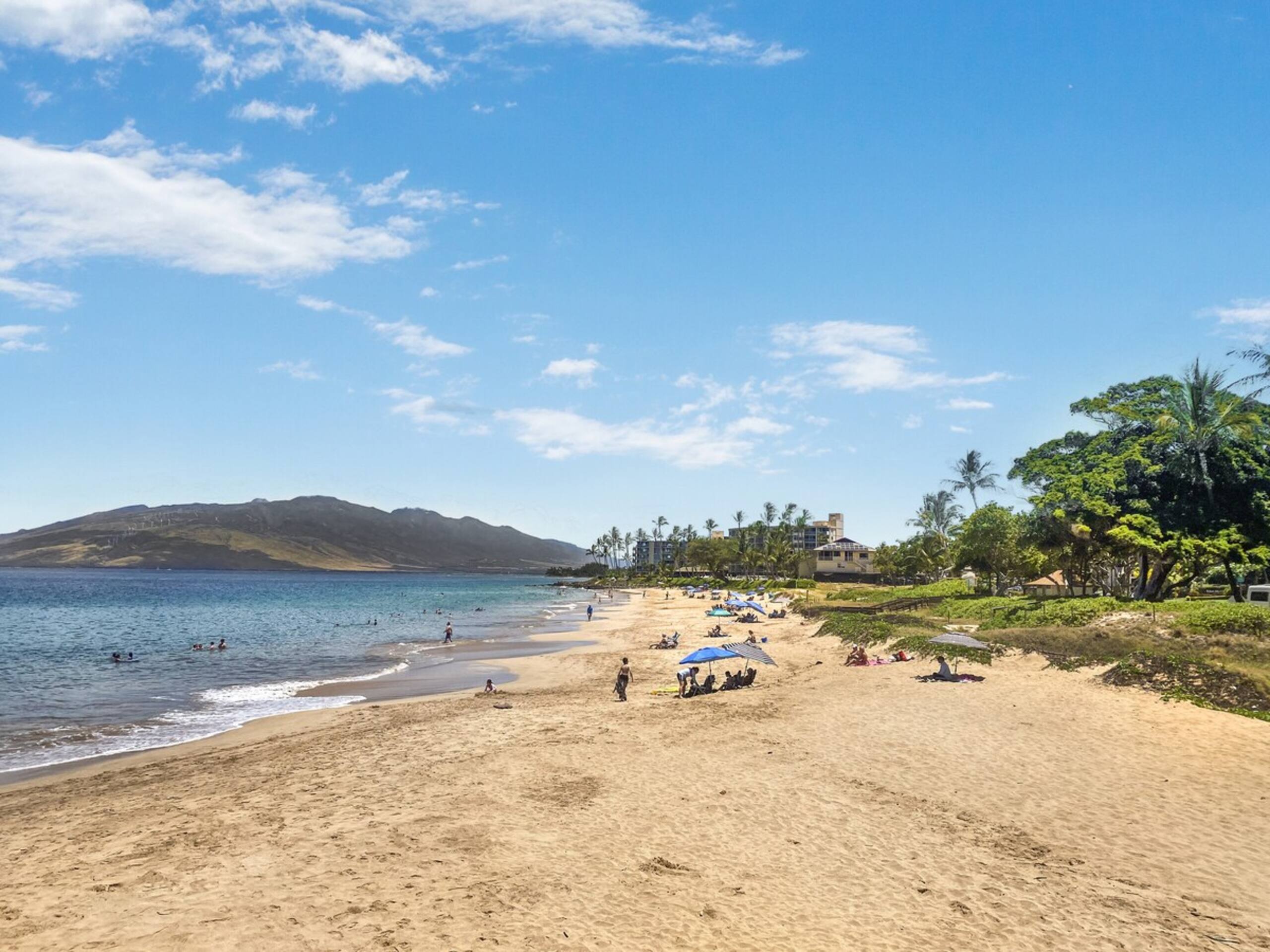 FLASH SALE Cozy Maui Studio Near Beach + Pool - Photo 26