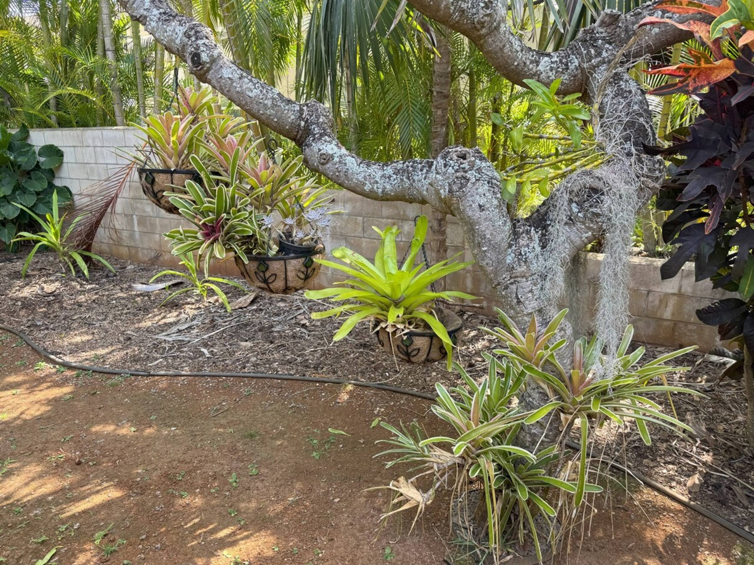 Luxurious 4BR/3.5BA House AC, Short Walk To Beach - Photo 36