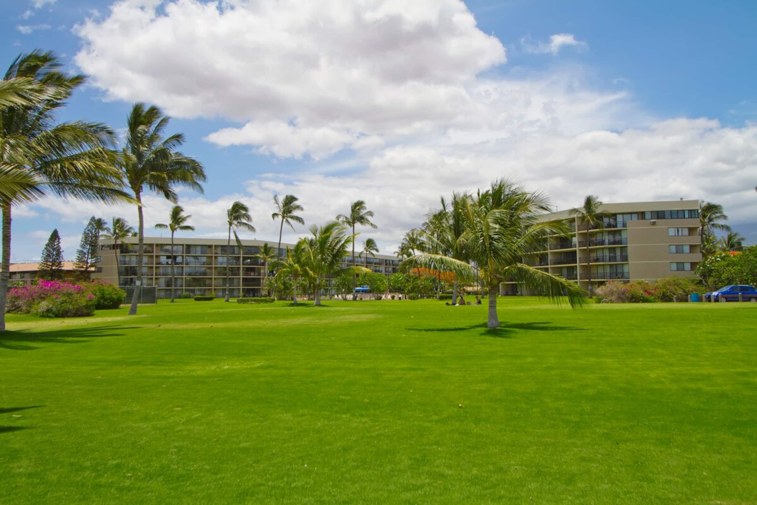 Kauhale Makai Beachfront Condo w/ Pool & Hot Tub - Photo 35