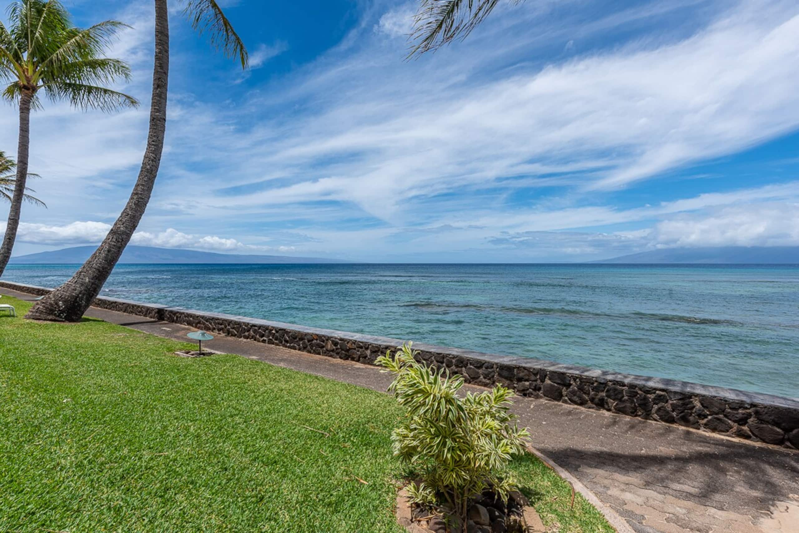 Come for your dream vacation B206 - Photo 33