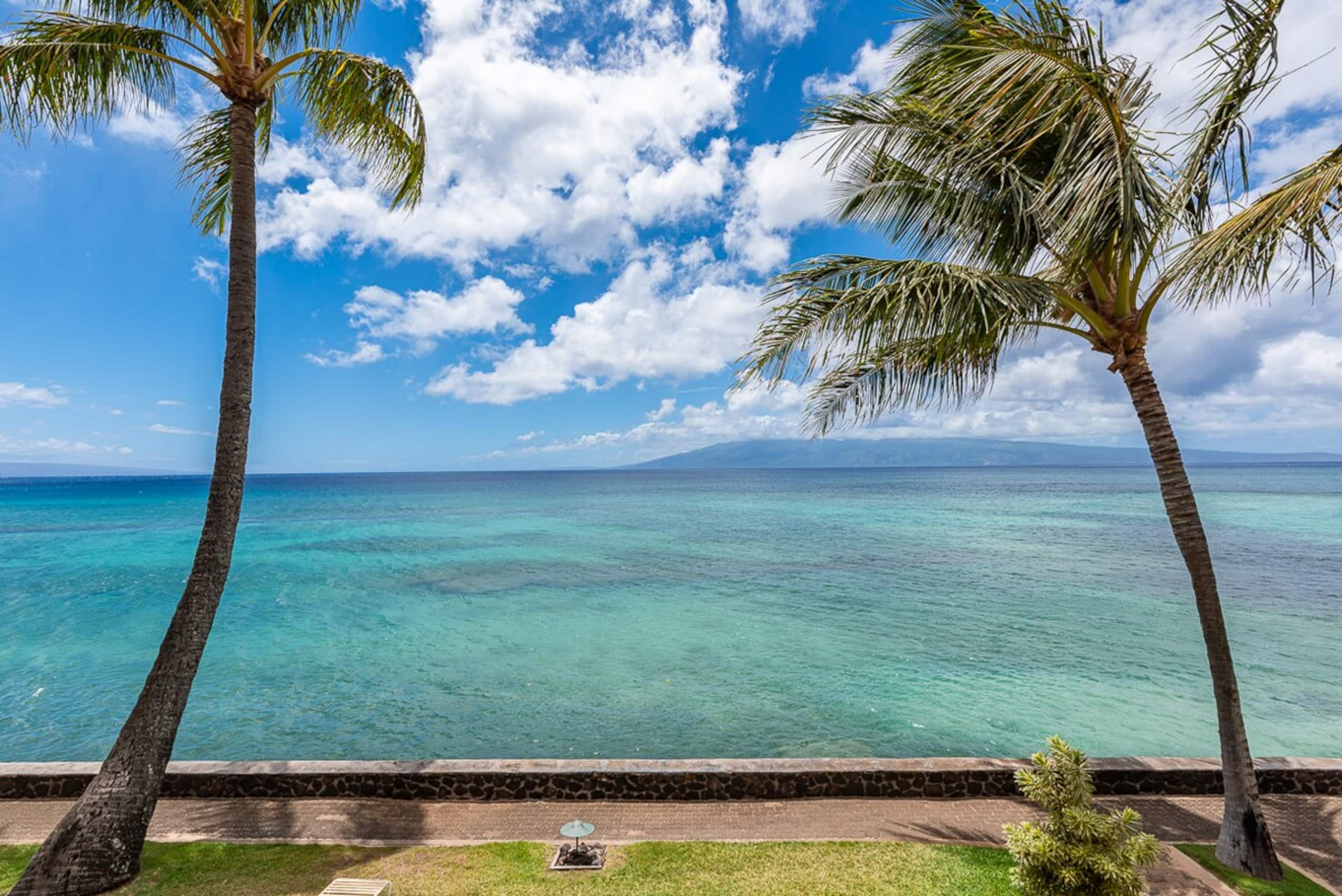 Come for your dream vacation B206 - Photo 40