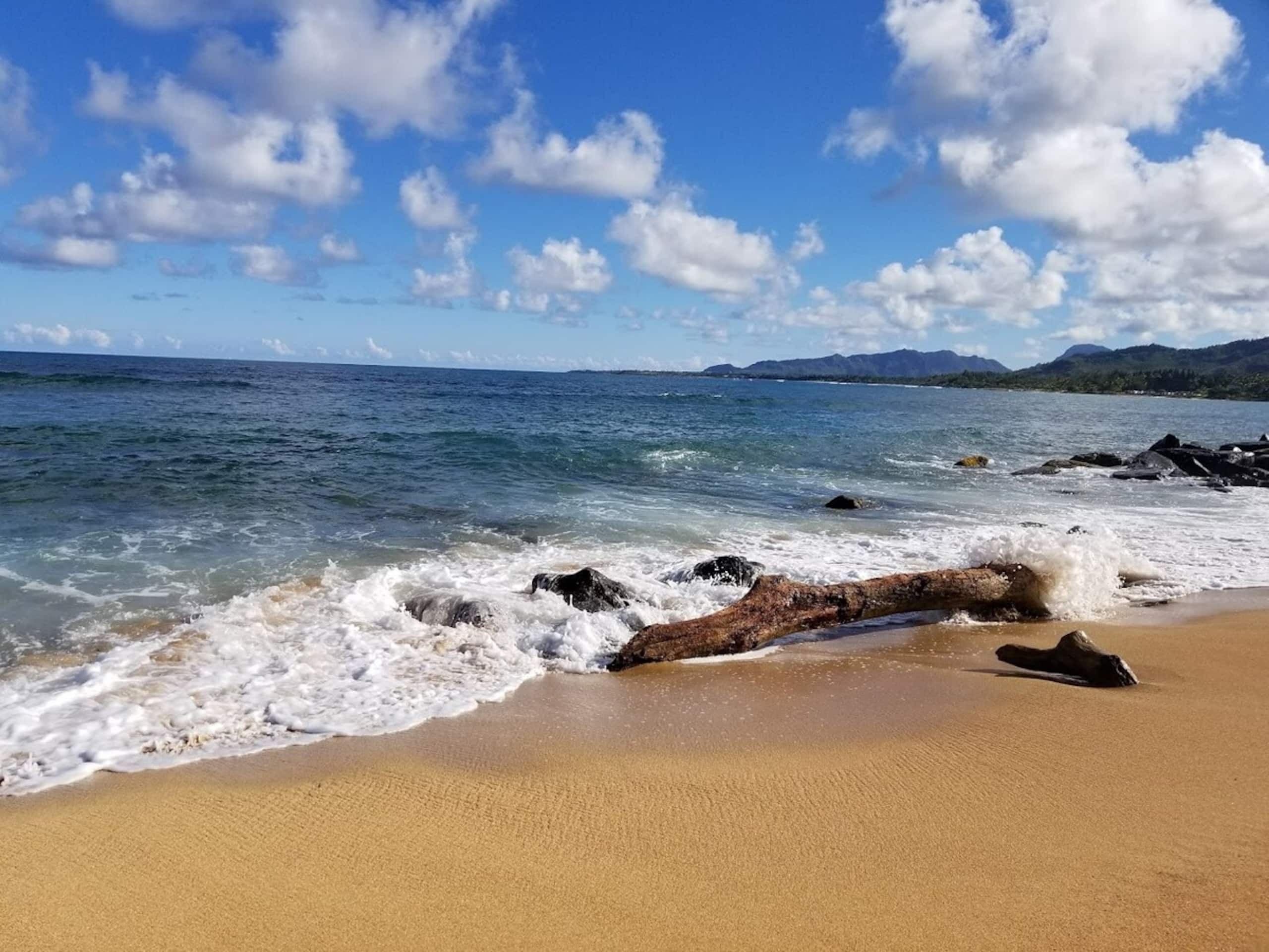 16 seconds from Door to Ocean! AC, Pool, Keyless - Photo 32