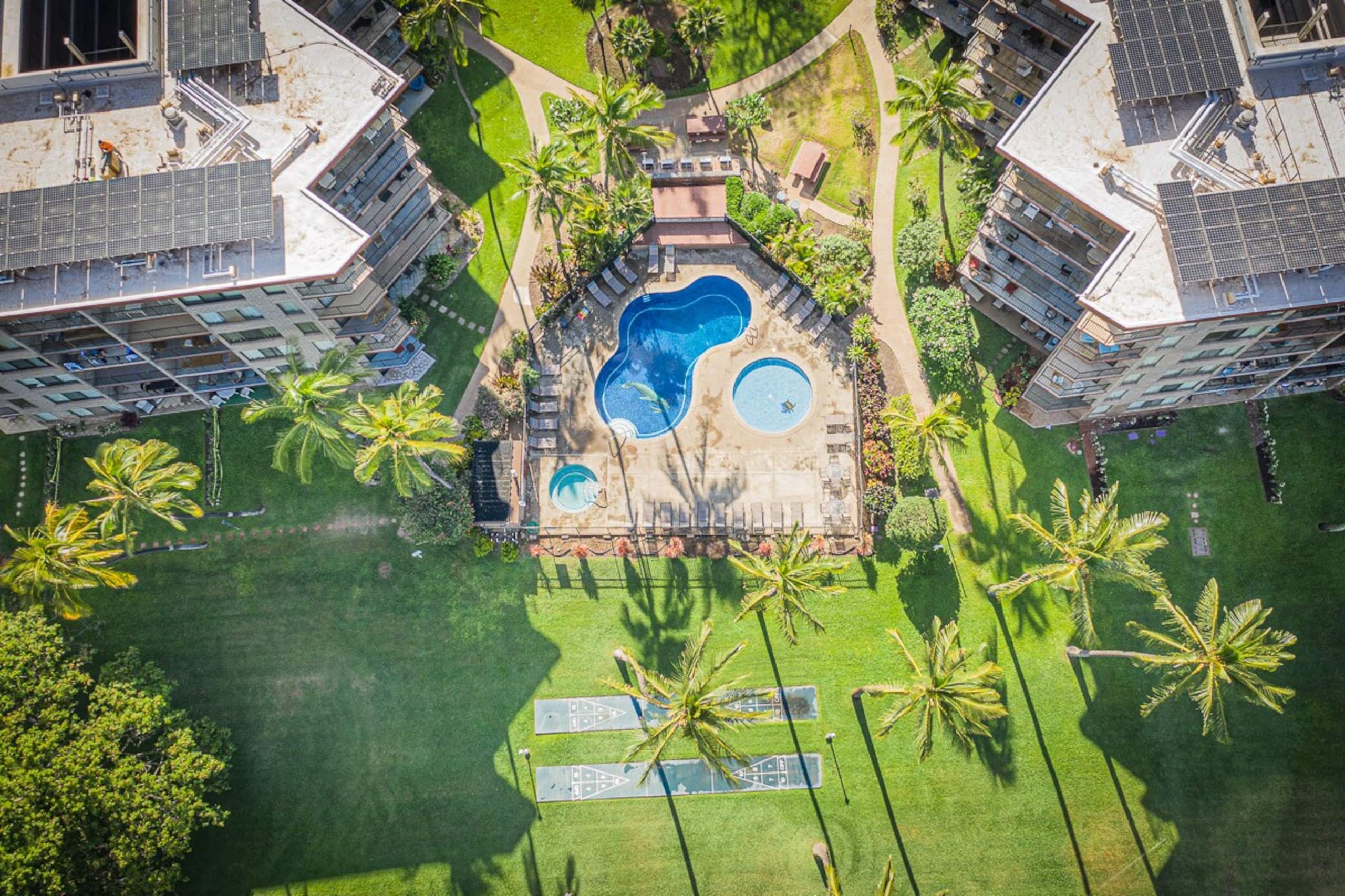 Oceanfront Maui condo w/ sunset lanai and pools - Photo 57