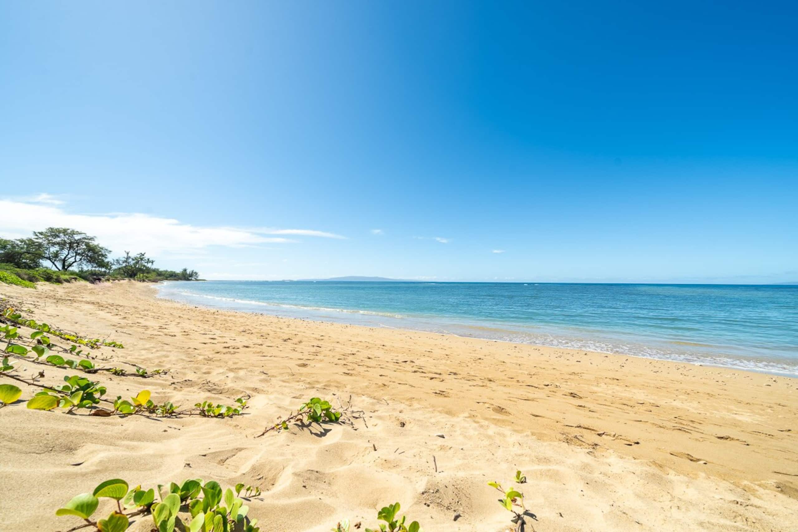 Oceanfront Maui condo w/ sunset lanai and pools - Photo 54