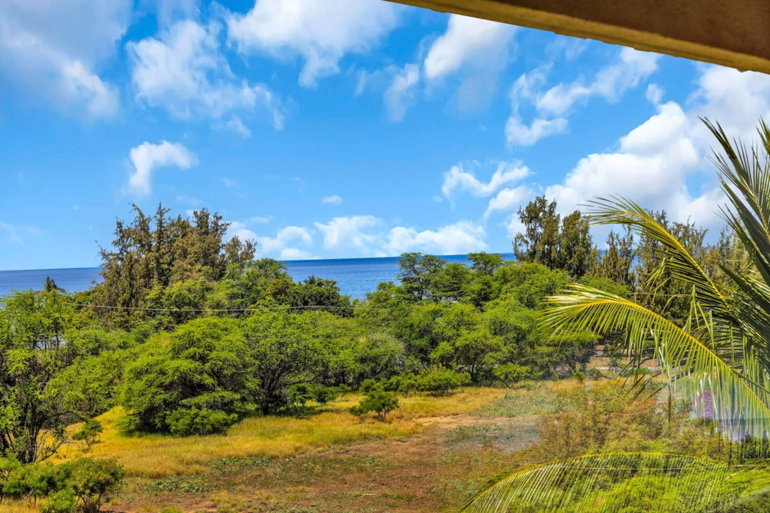 Bright corner condo in Kihei - Photo 42