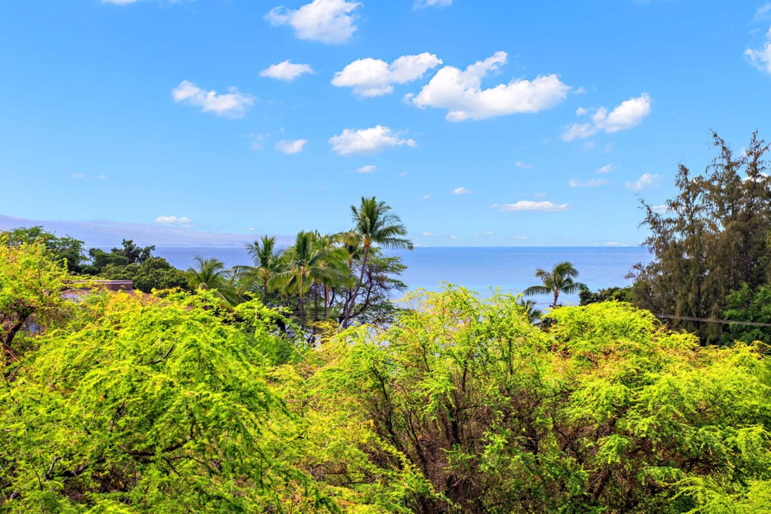 Bright corner condo in Kihei - Photo 2