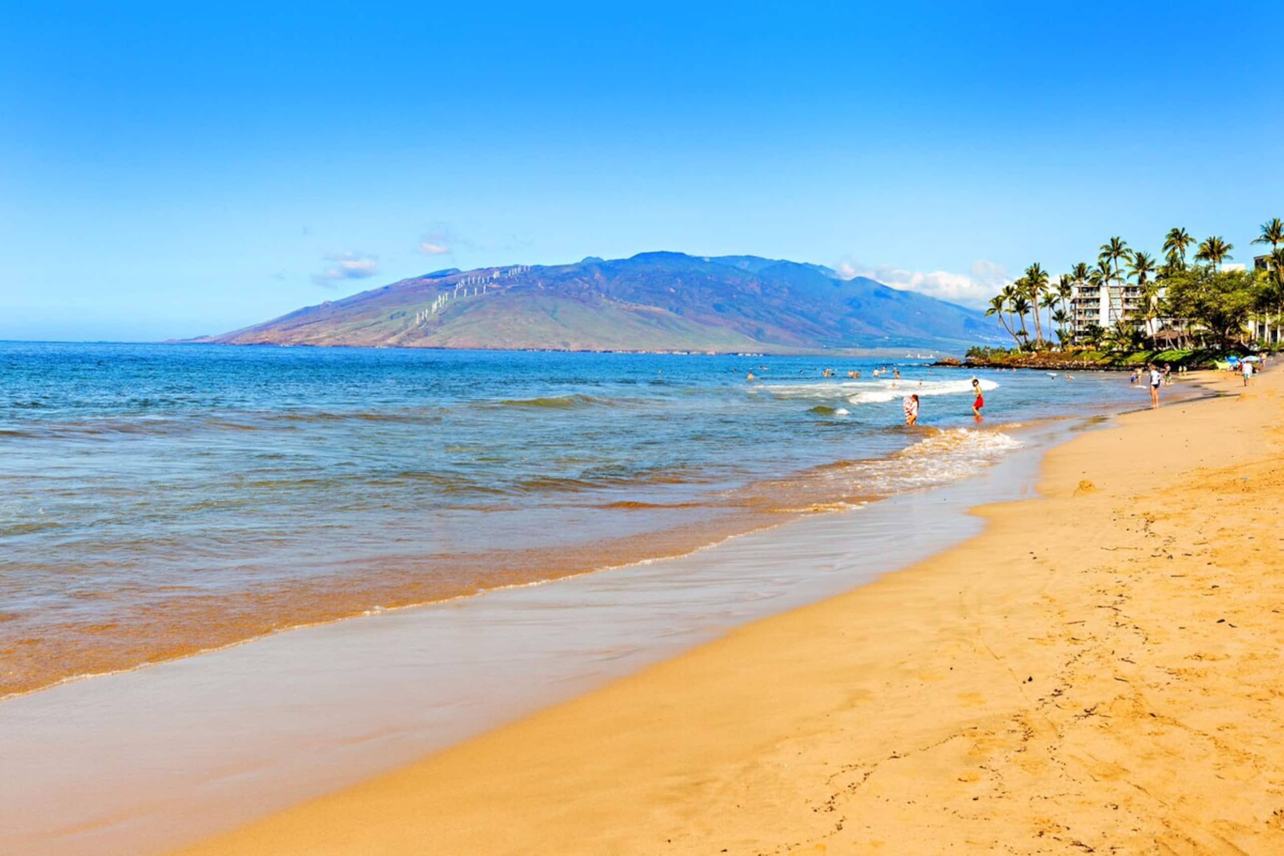 Bright corner condo in Kihei - Photo 41