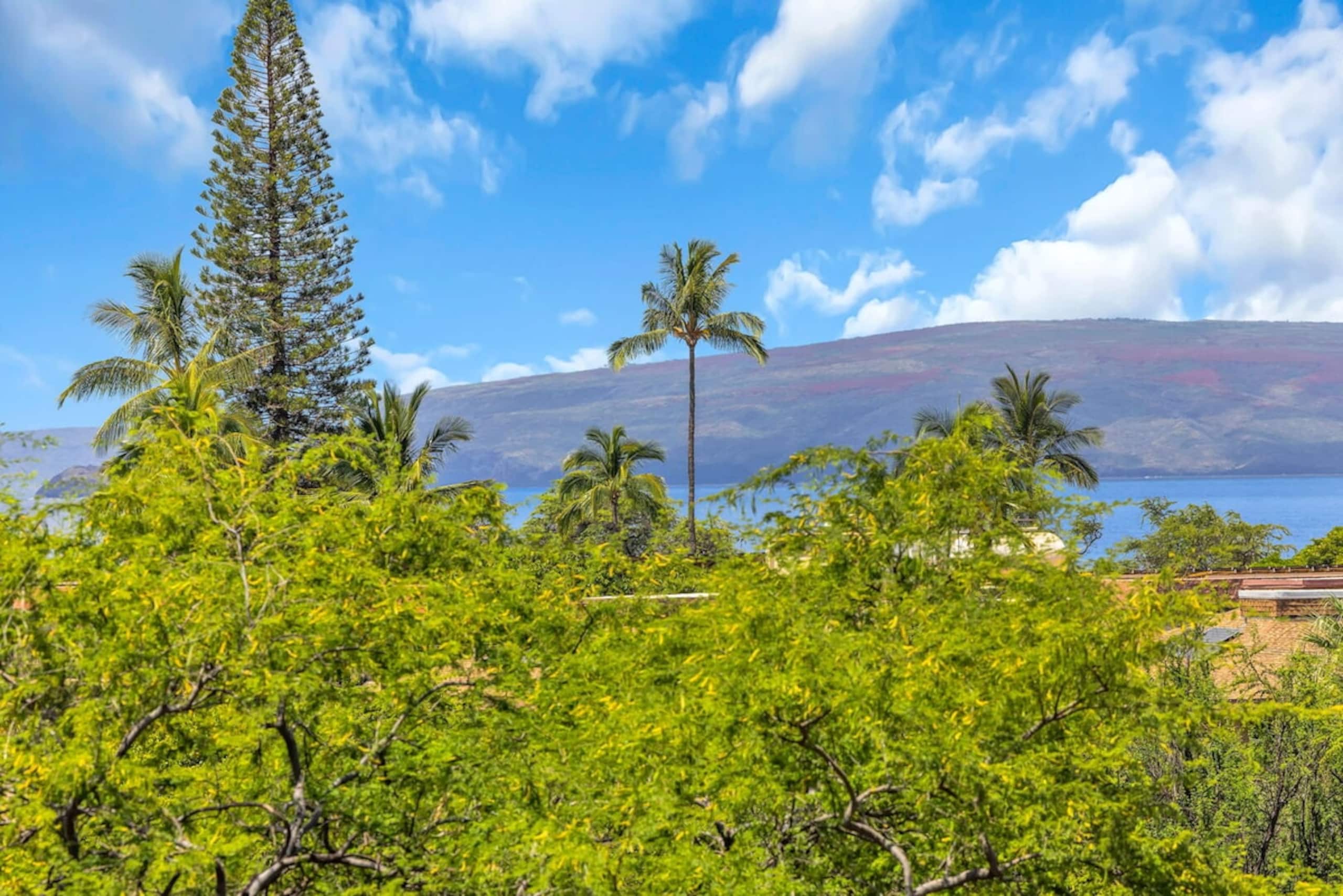 Bright corner condo in Kihei - Photo 44