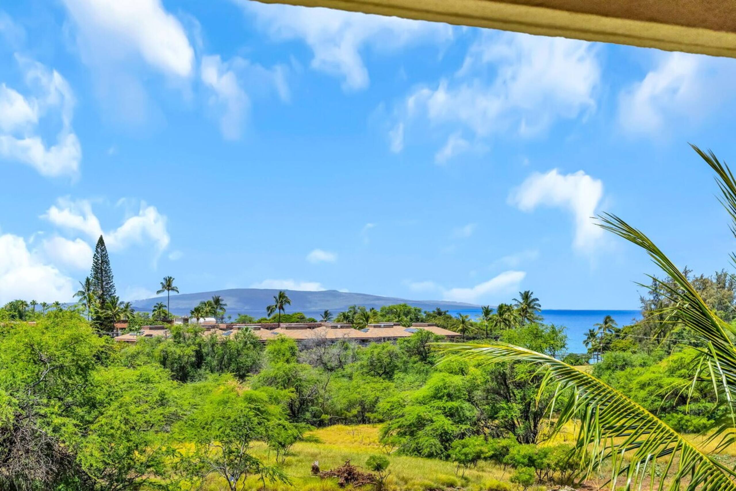 Bright corner condo in Kihei - Photo 25