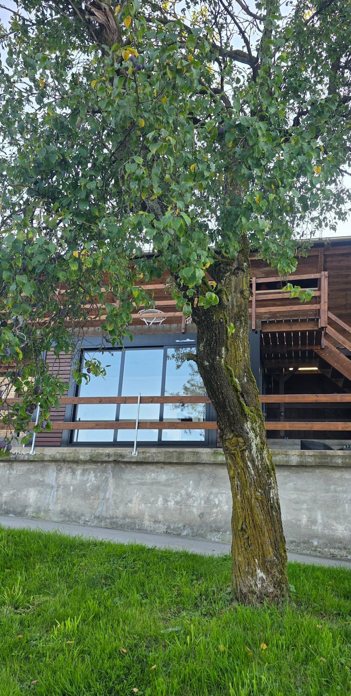 Tiny Adventure-surrounded By Chicken Coop & Flies - Lucerne