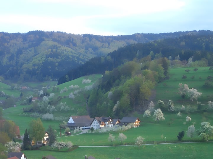Scharbachhof - Stegen