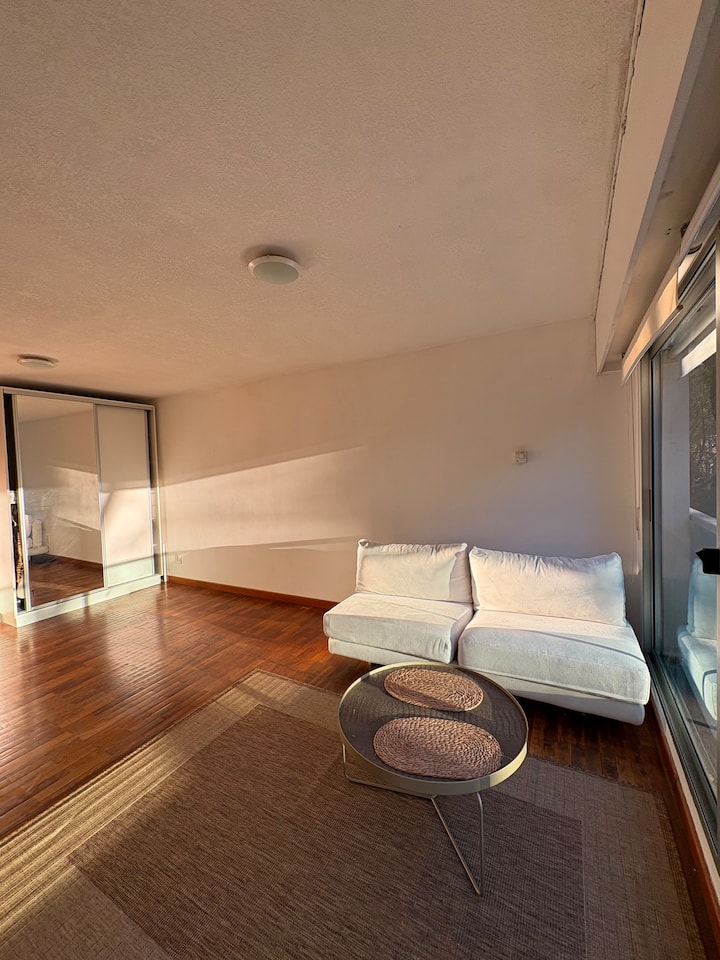 Apartamento Monoambiente En Pocitos/punta Carretas - Montevideo