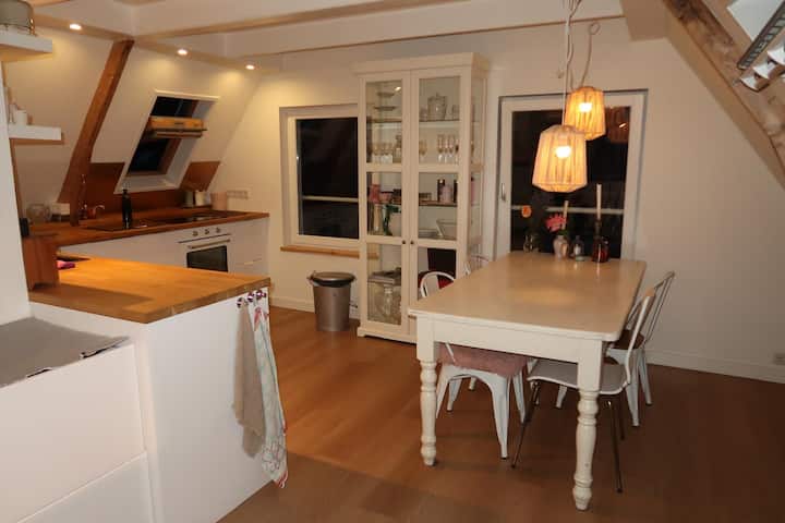 The Cozy Canal Nest - Zaandam