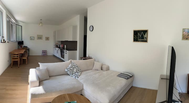 Fully Furnished Loft Apartment - Huningue