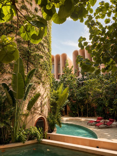 Nest: tropical minimalism with soul
