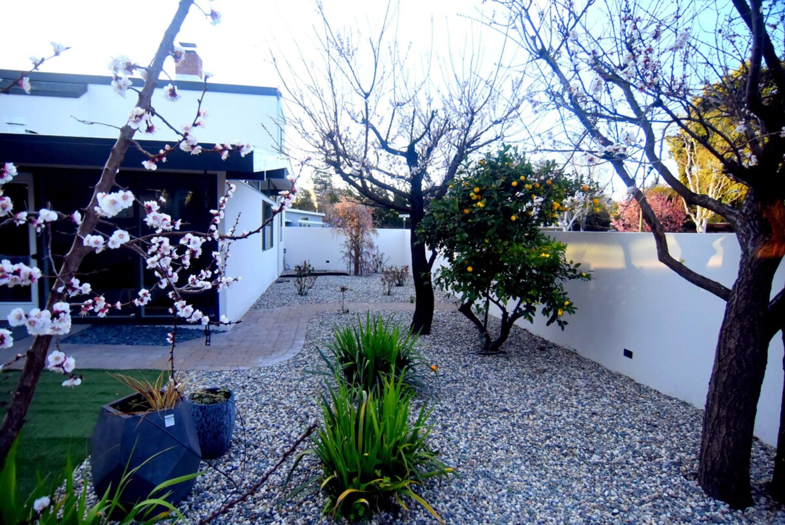 Contemporary 5BR Near Stanford & Tech HQs - Photo 46
