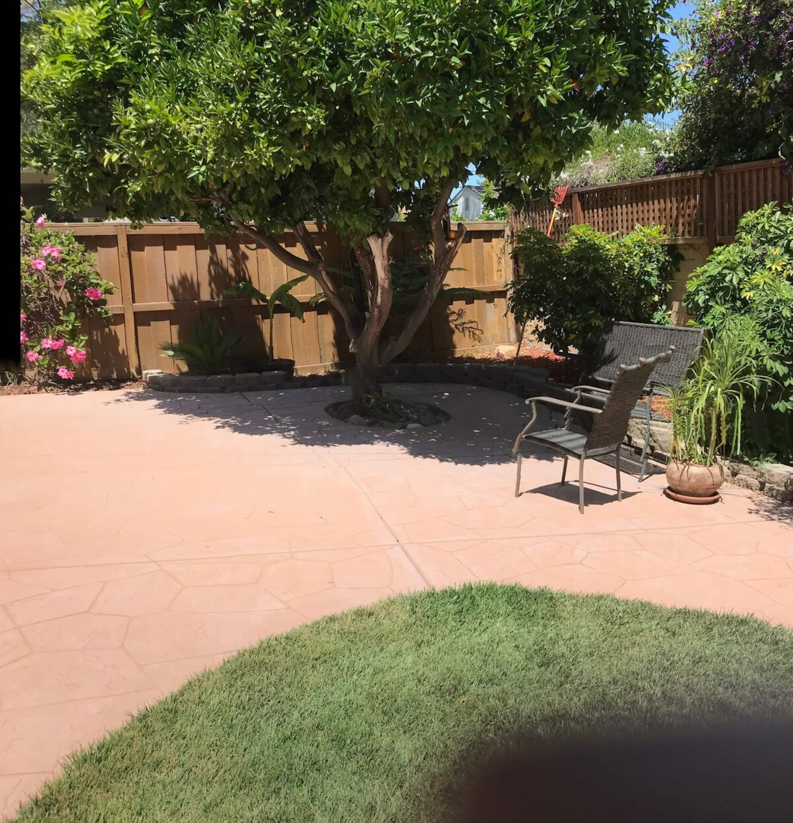 Luxurious Private Suite in Heart of Silicon Valley - Photo 9