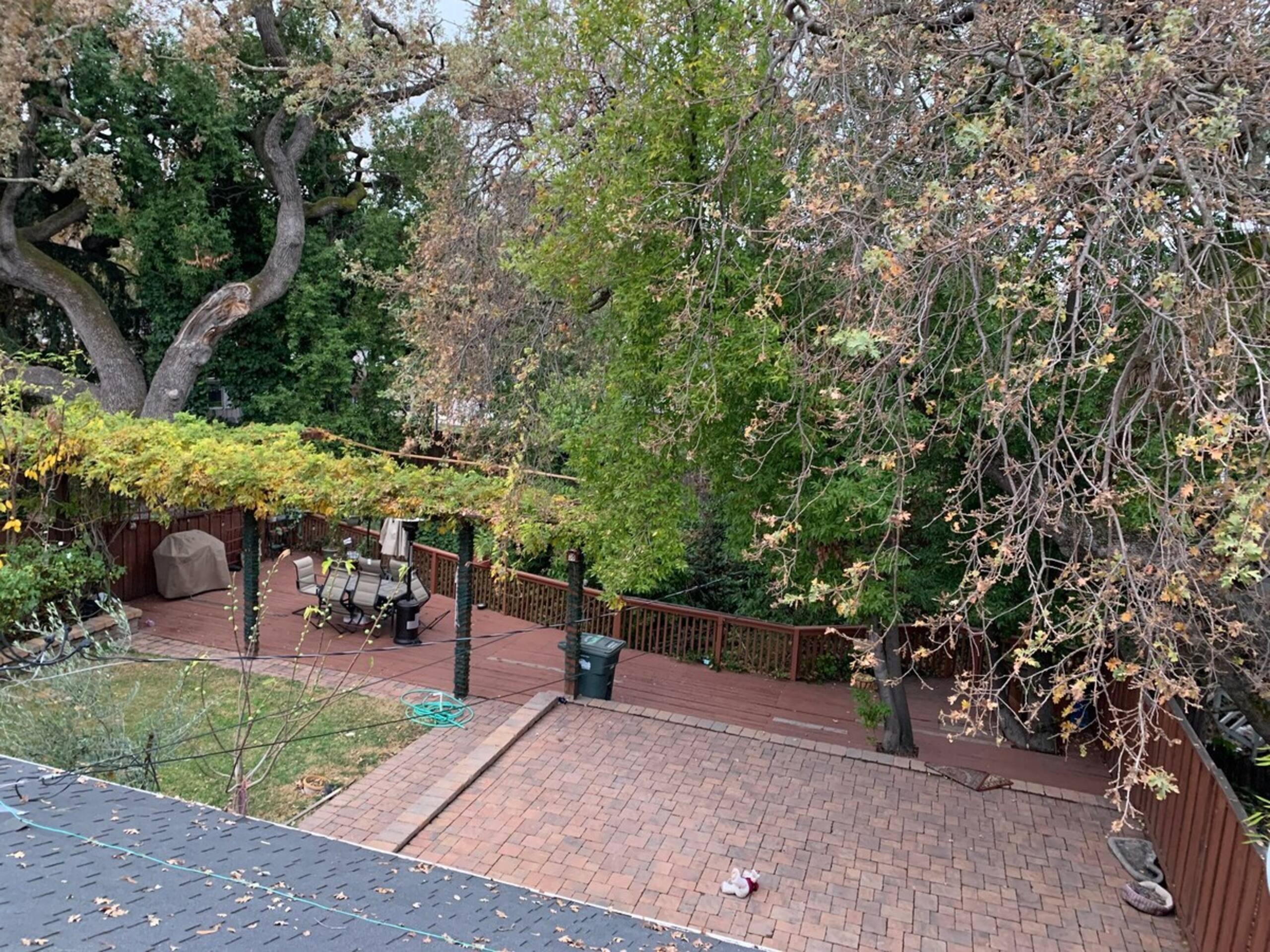 Updated 1-bedroom private in-law (no cleaning fee) - Photo 12