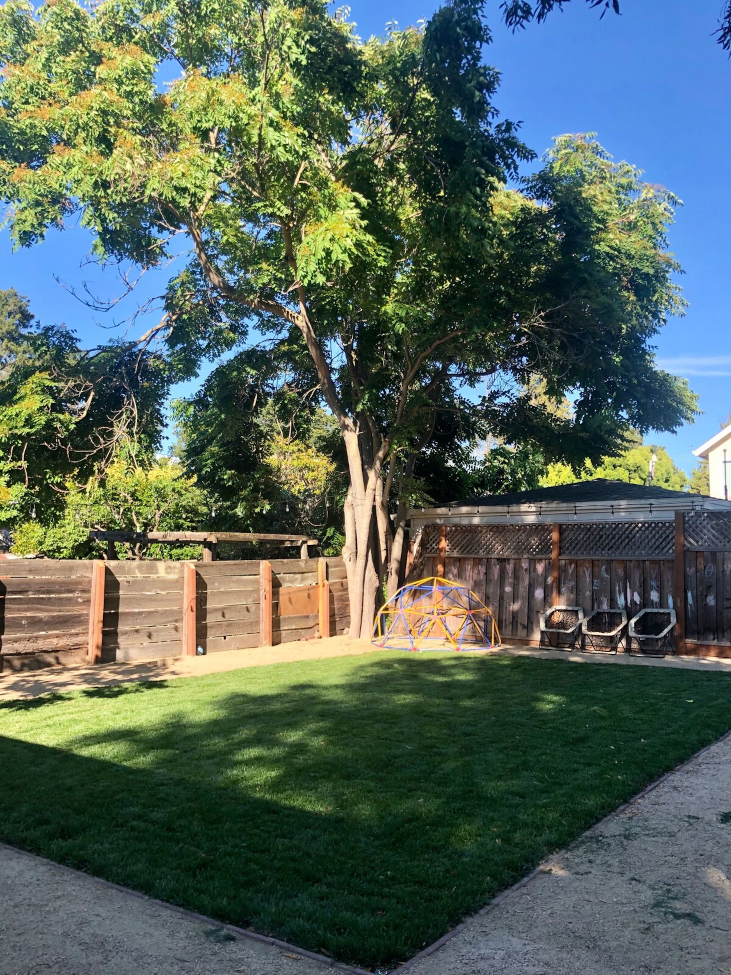 Palo Alto Gem - Photo 14