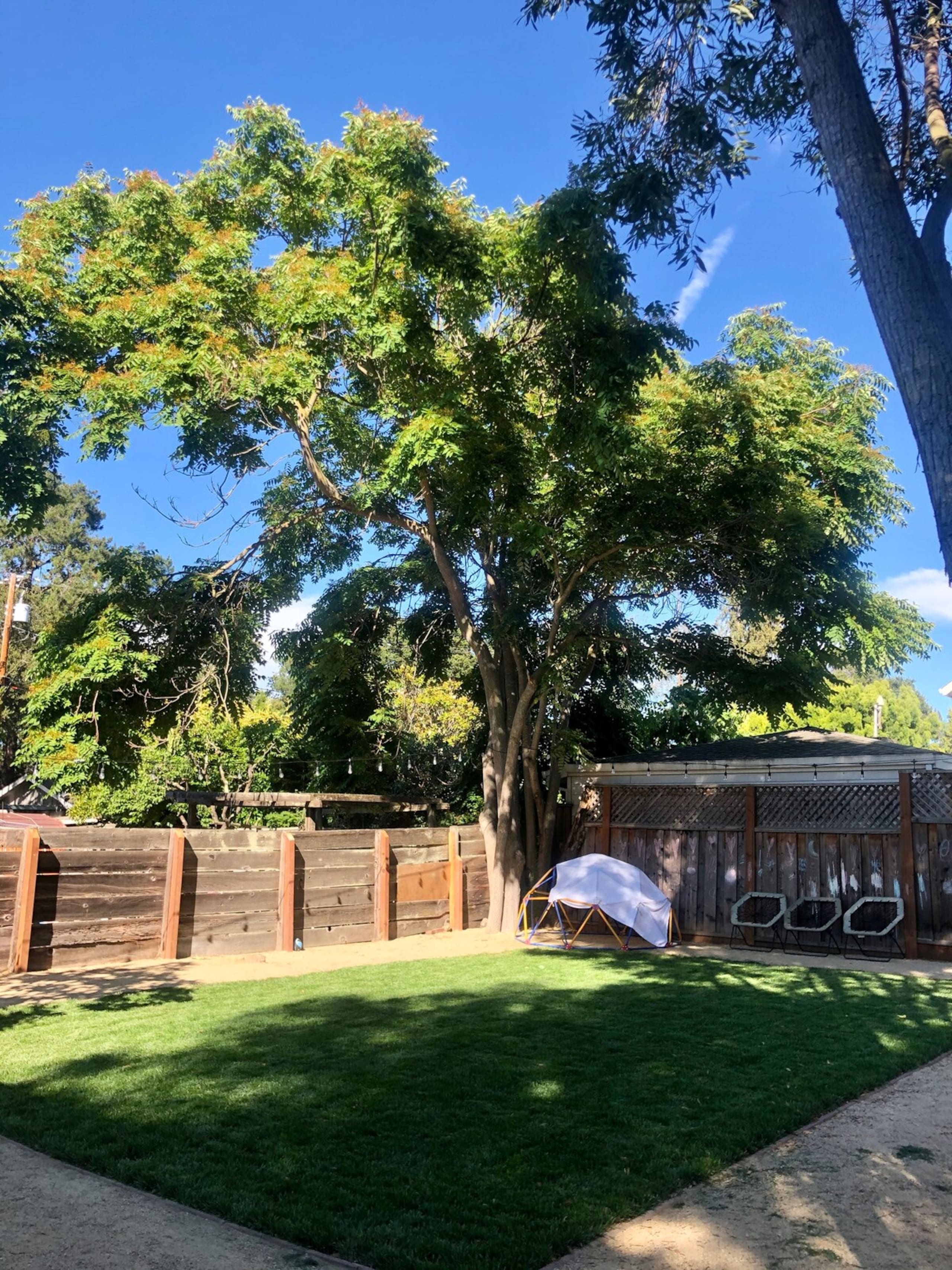 Palo Alto Gem - Photo 16