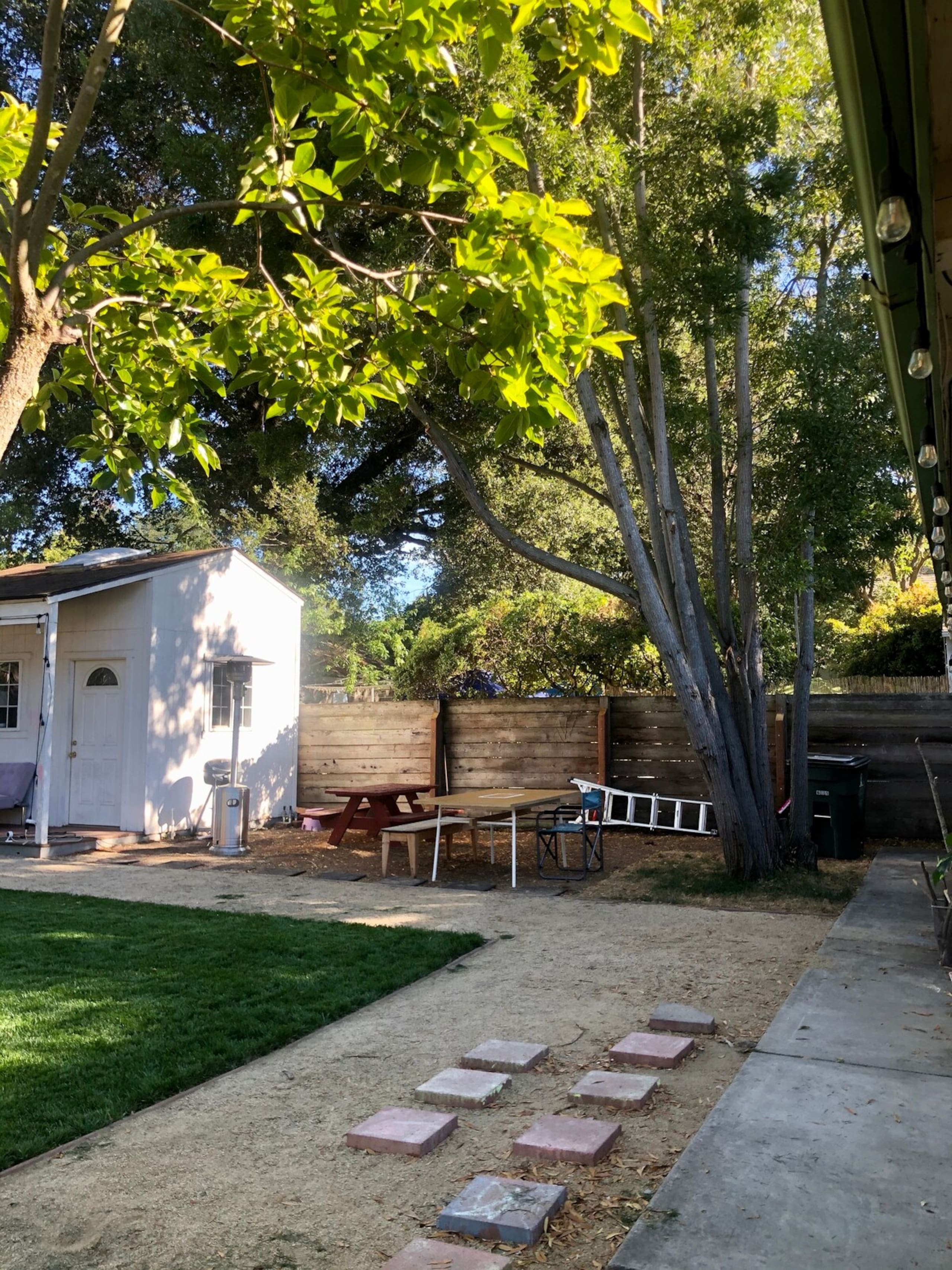 Palo Alto Gem - Photo 20