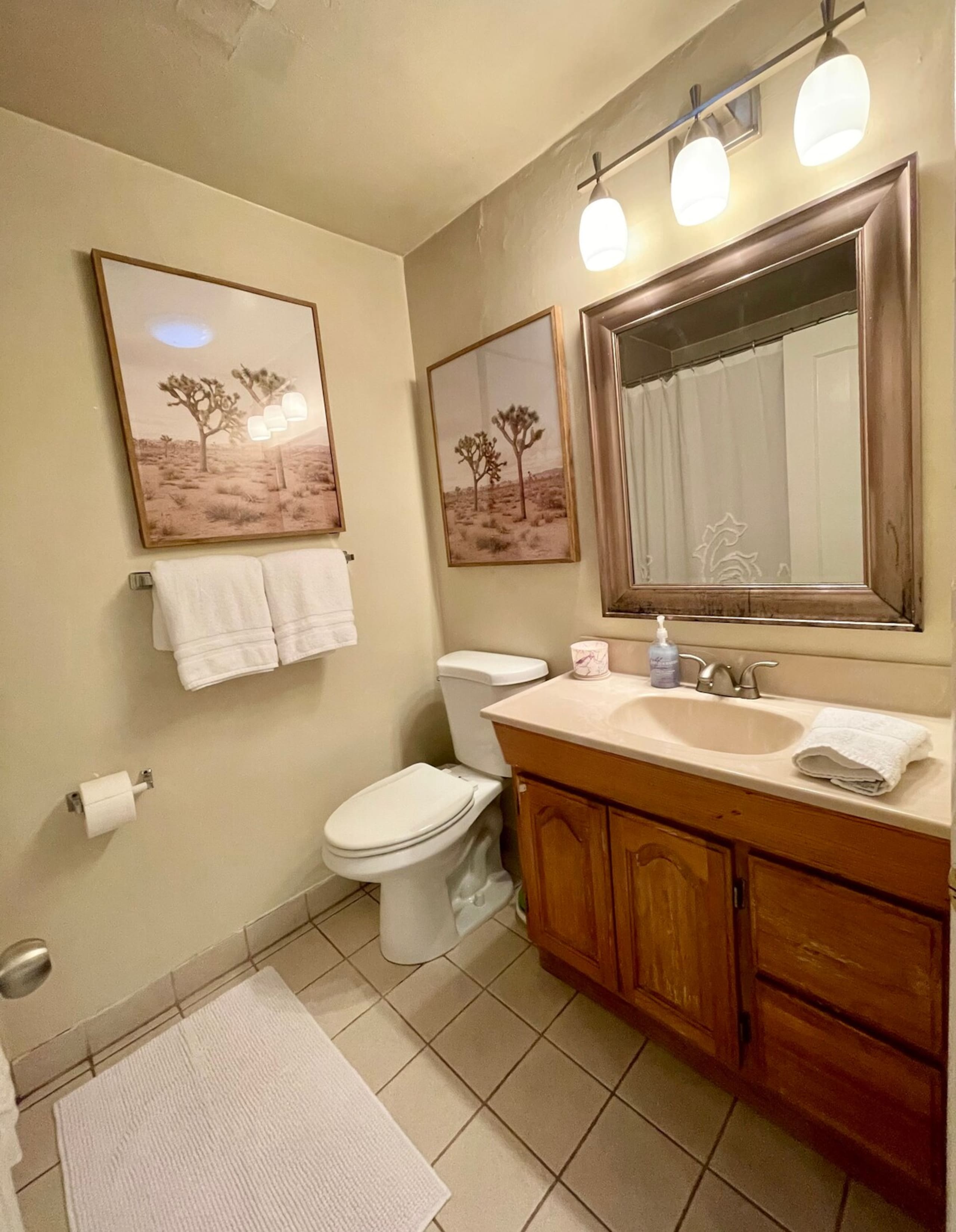 Palo Alto Gem - Photo 12