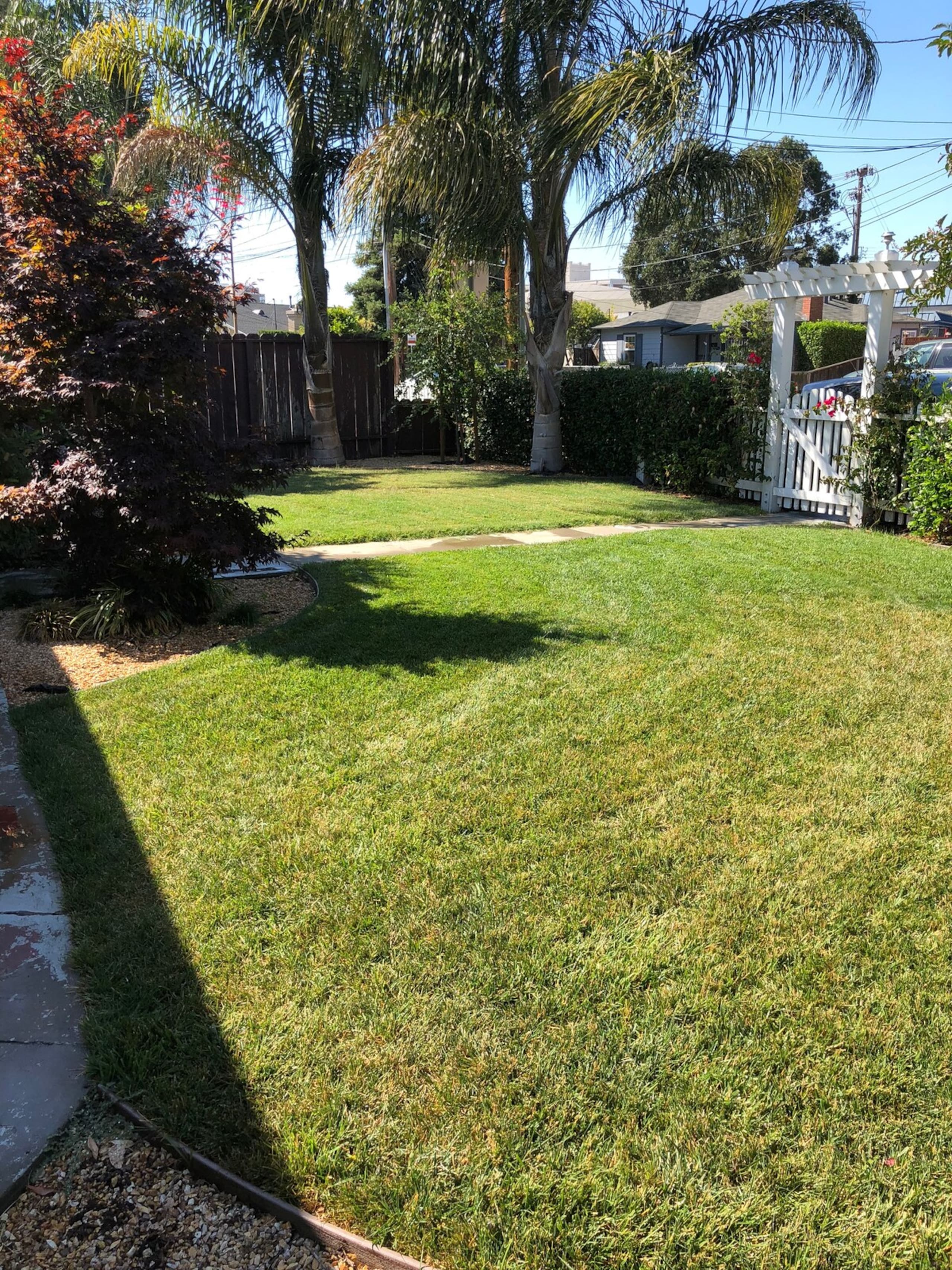 Bright & Cheery 3Bd 2Bath Easy Walk to Downtown - Photo 22