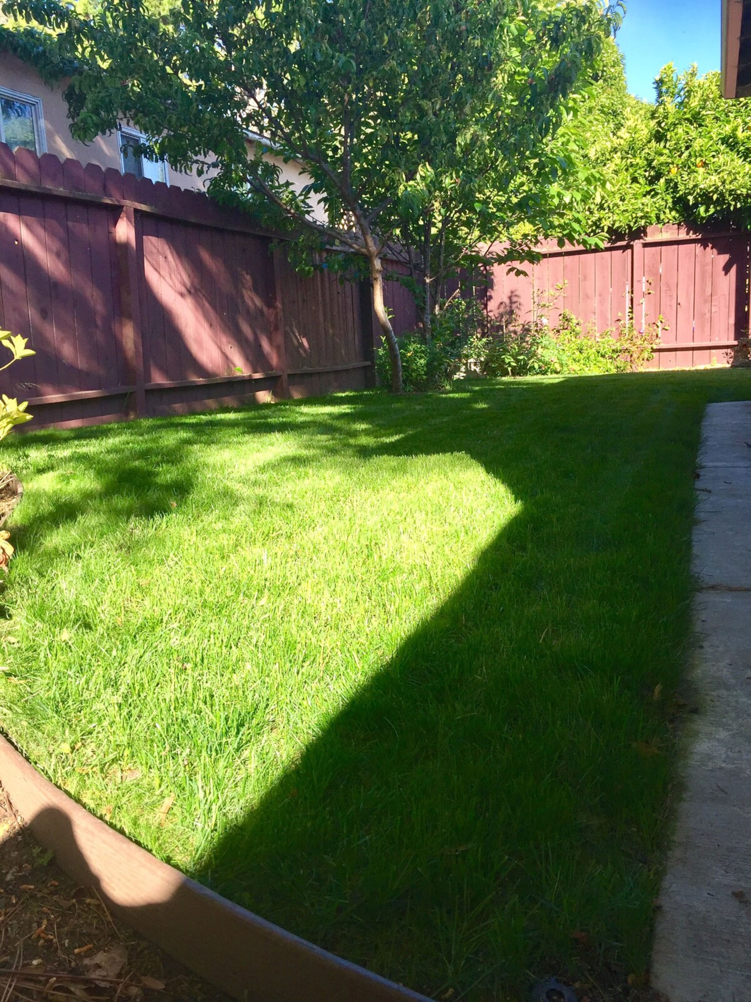 Bright & Cheery 3Bd 2Bath Easy Walk to Downtown - Photo 23