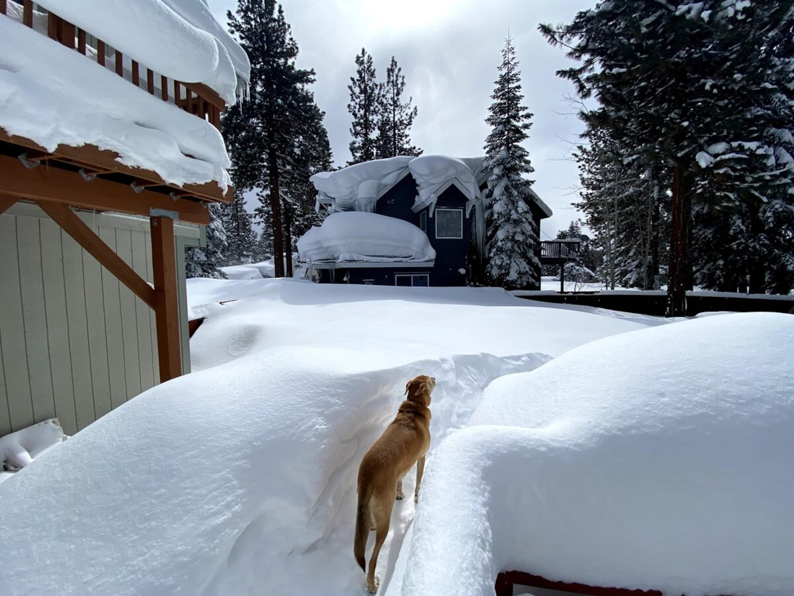 Spacious, Affordable, Pet Friendly House With Spa - Photo 32