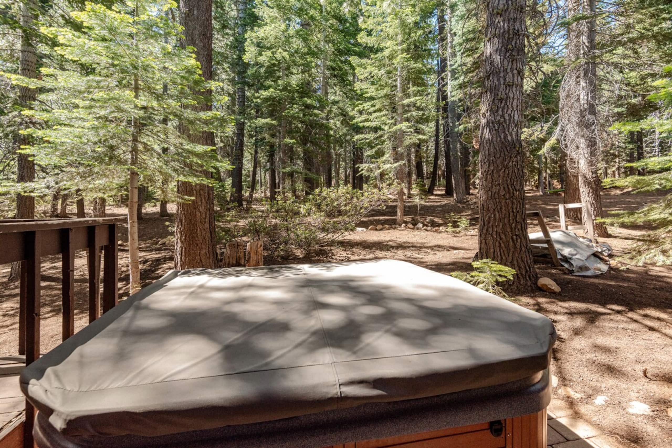 Truckee Adventure Cabin near Resorts + Restaurants - Photo 43