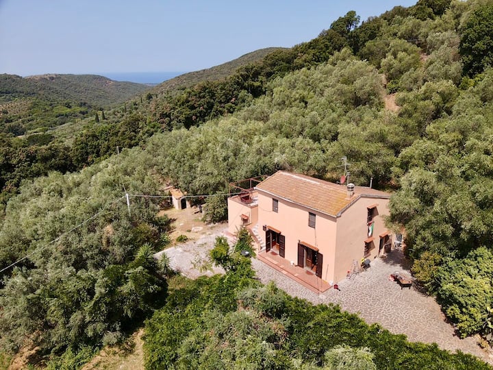 La Marea - Casolare Indipendente - Suvereto