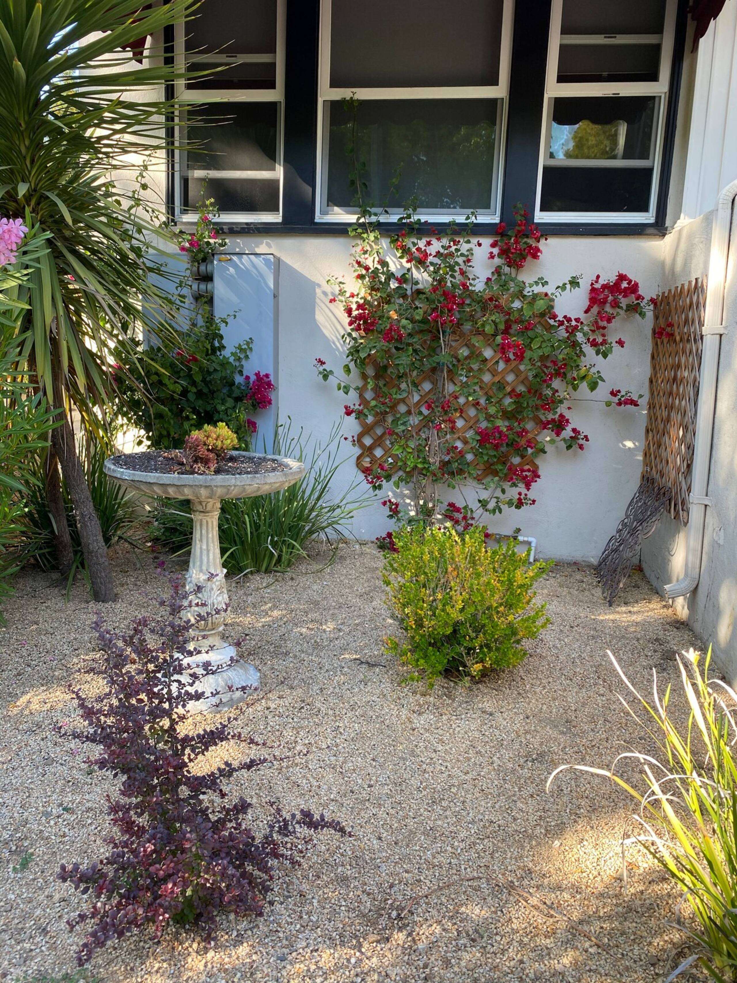 Turquoise 1-bedroom Downtown Palo Alto w/AC - Photo 20