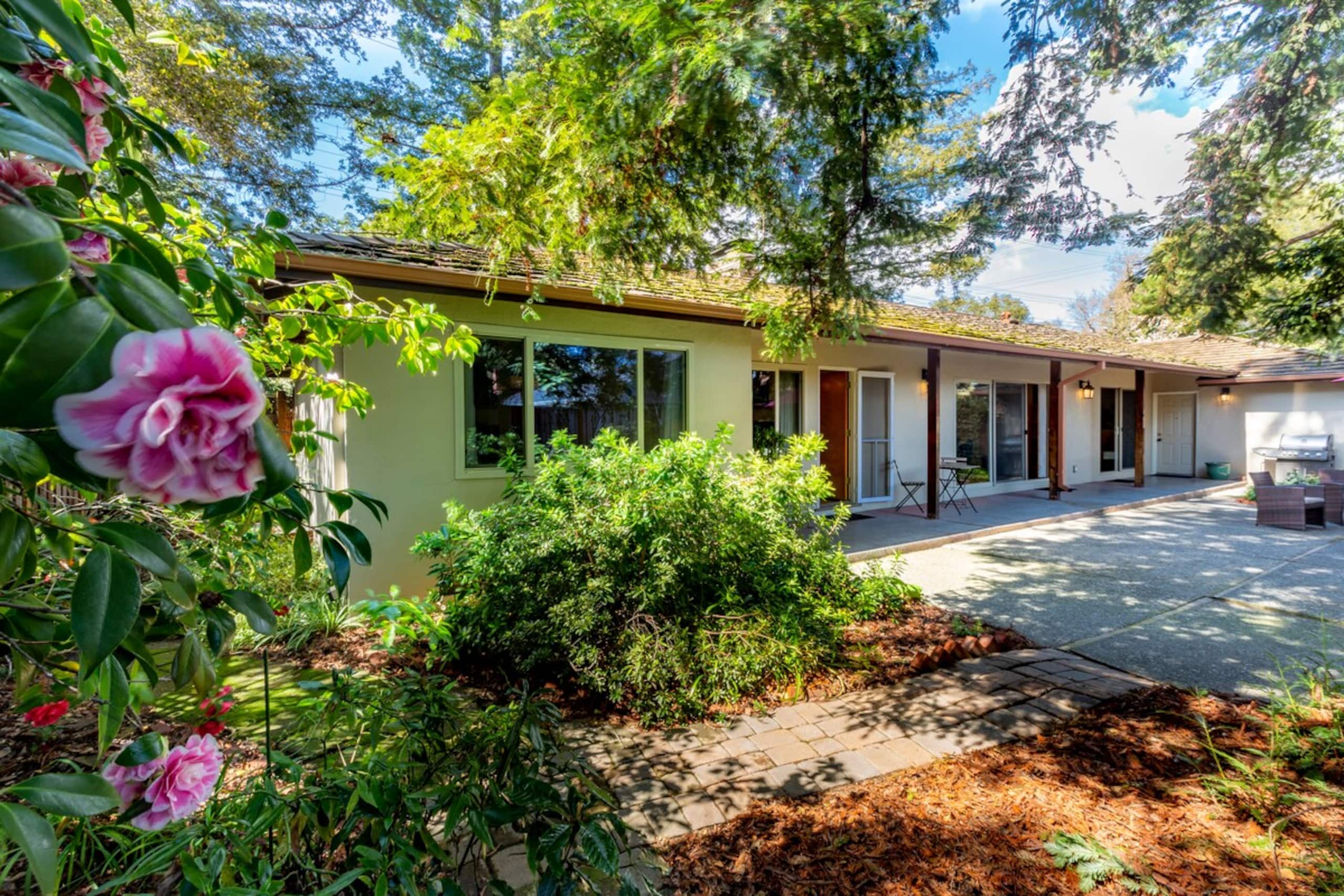 Mid-Century Elegance Beneath the Redwoods - Photo 40
