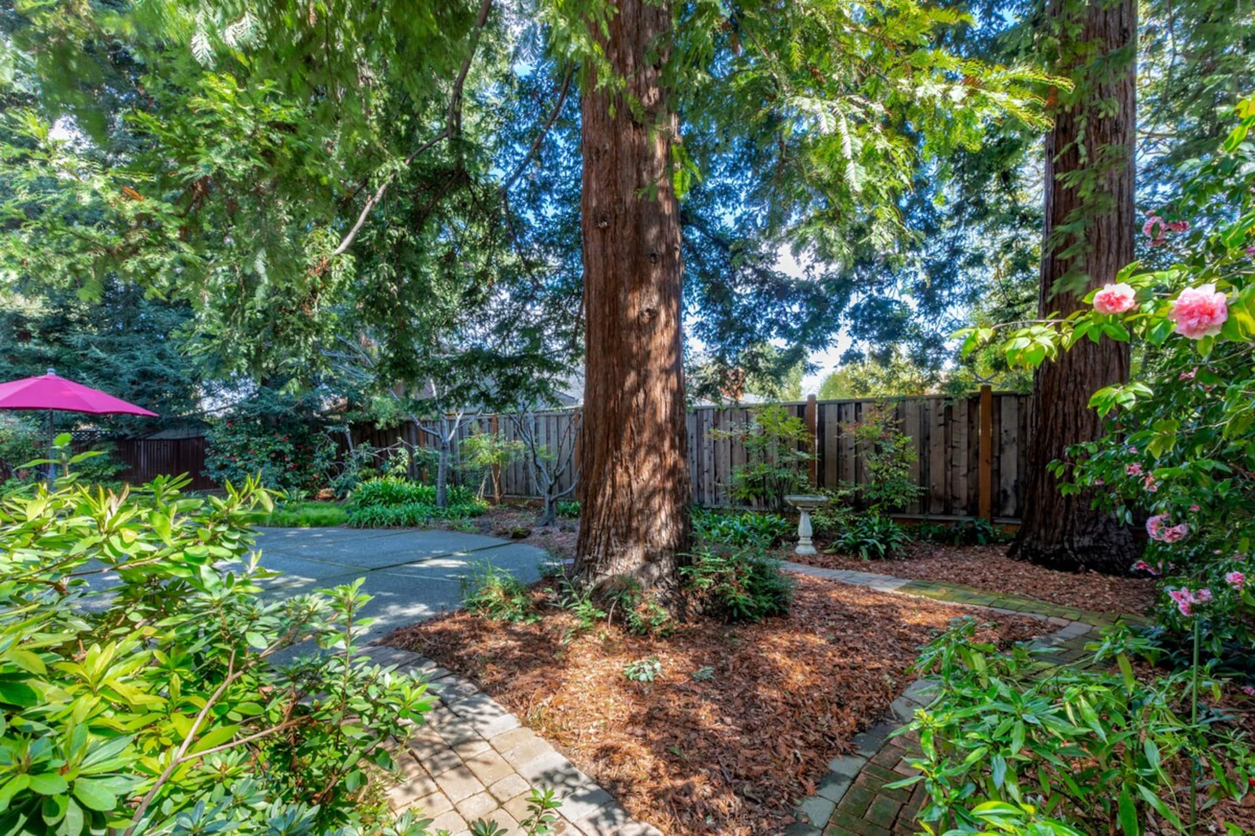 Mid-Century Elegance Beneath the Redwoods - Photo 41