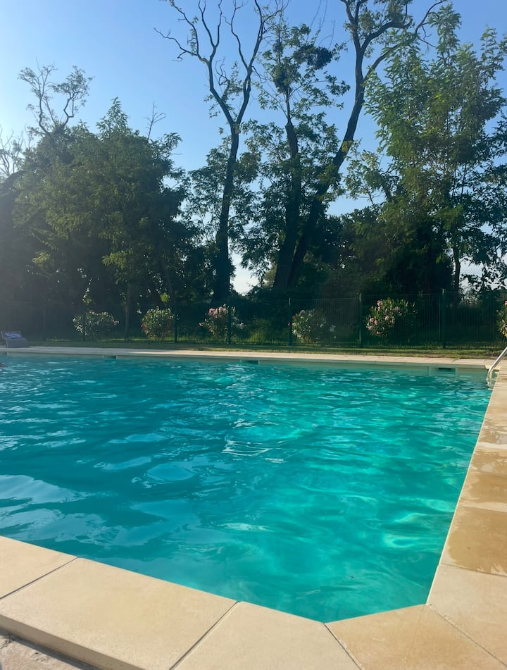 Appartement Moderne Avec Piscine Eysines - Eysines